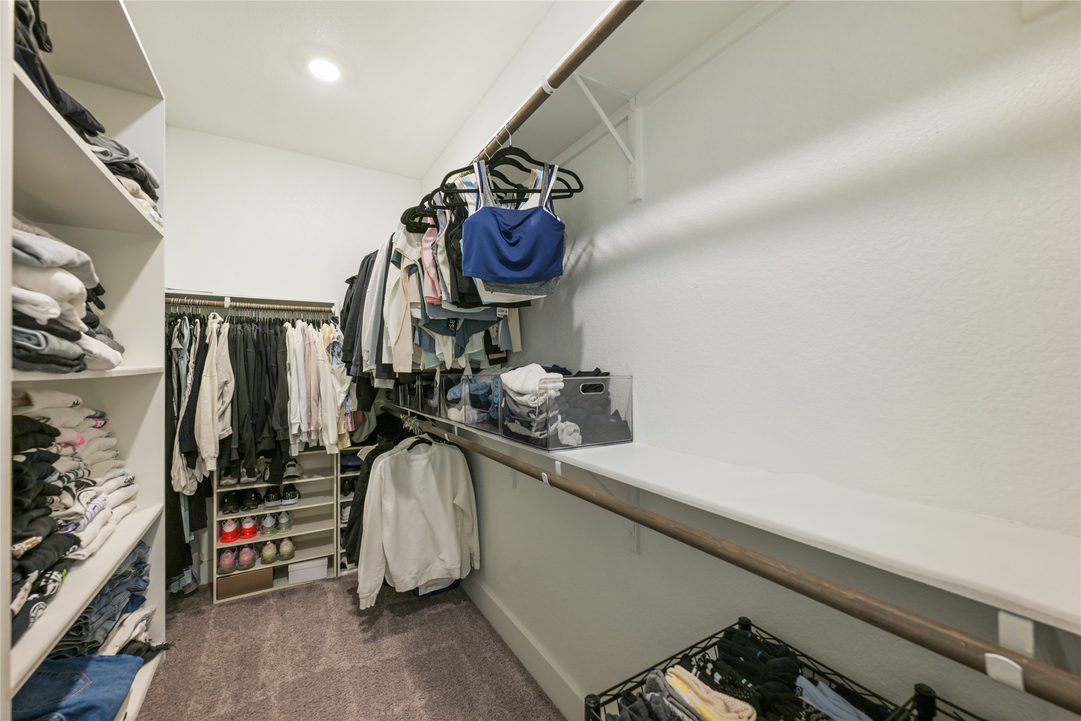 238 Wild Pecan Loop Buda, TX 78610 - Photo 19 of 31 A spacious walk-in closet includes built-in shelving, hanging rods, and plush carpeting.