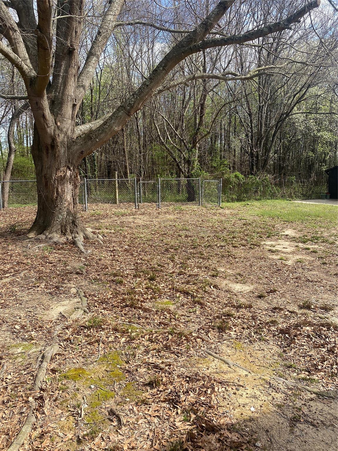180 Tryon Road Rockwell, NC 28138 - Photo 6 of 31 a backyard of a house with lots of green space