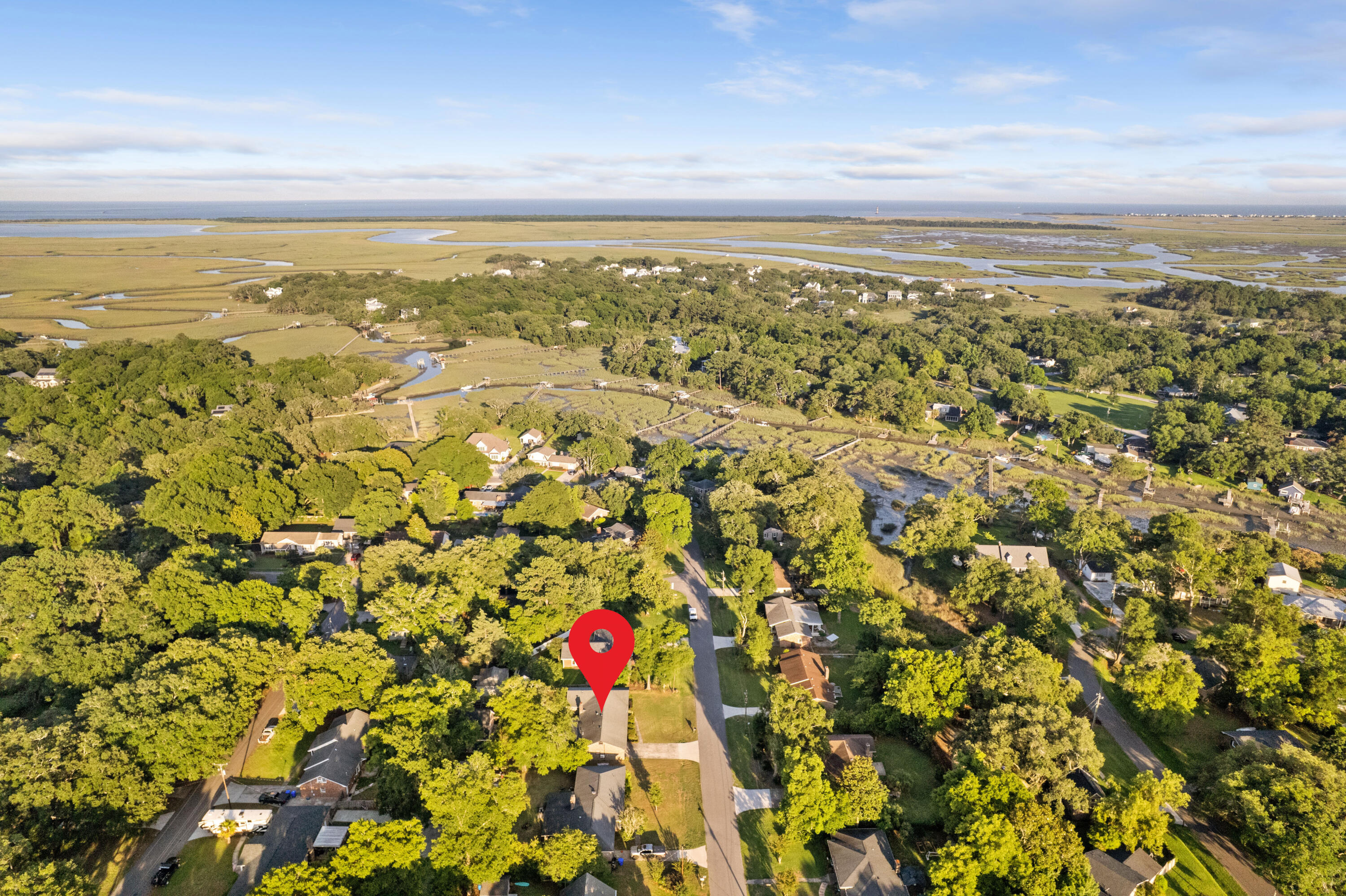 742 Leafwood Road Charleston, SC 29412 - Photo 5 of 51