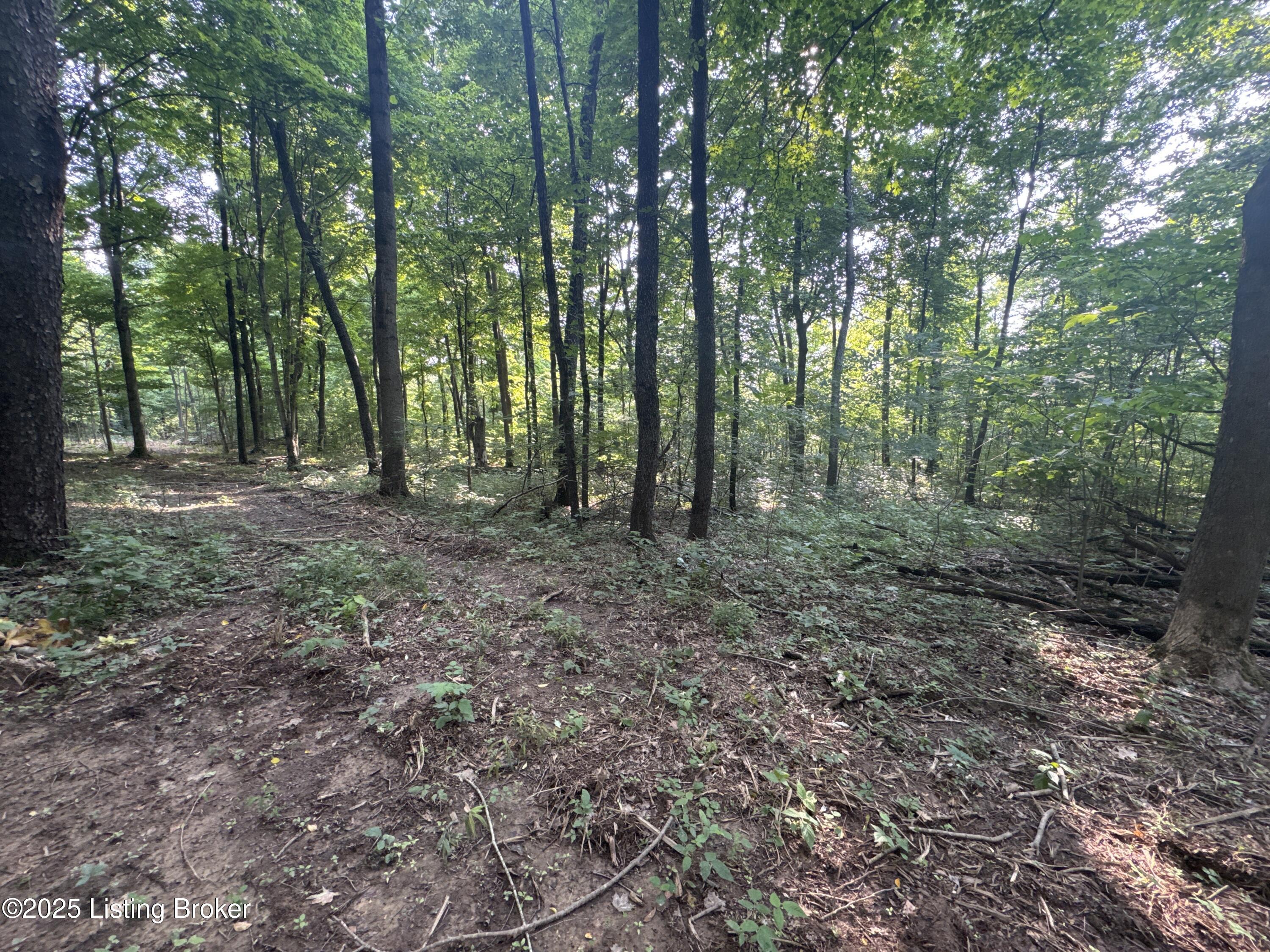 Image_250610_181456
