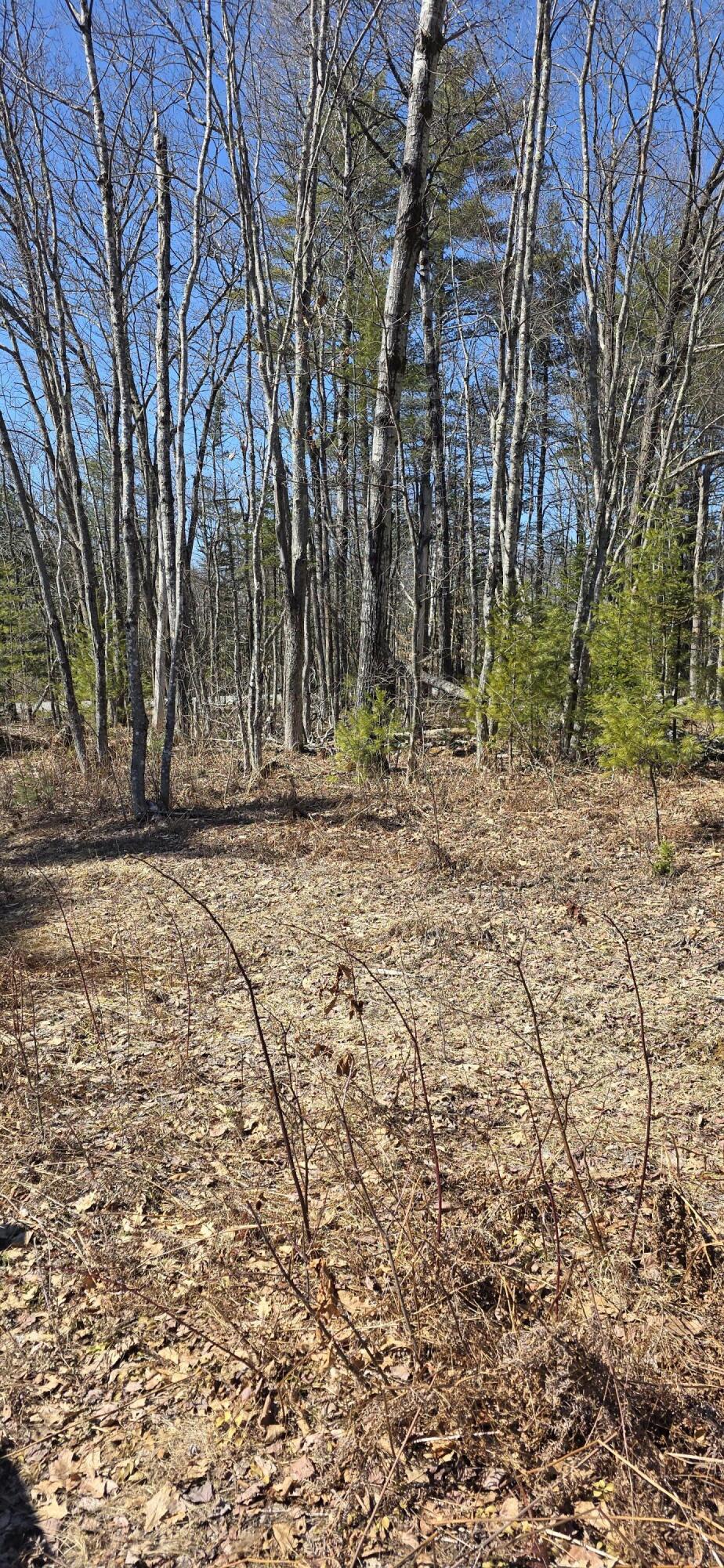 1439 River Road Solon, ME 04979 - Photo 4 of 9 20260408_143222