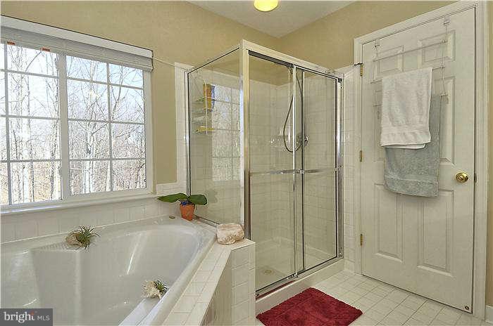18802 Broken Oak Road Boyds, MD 20841 - Photo 14 of 24 Bath (Master)