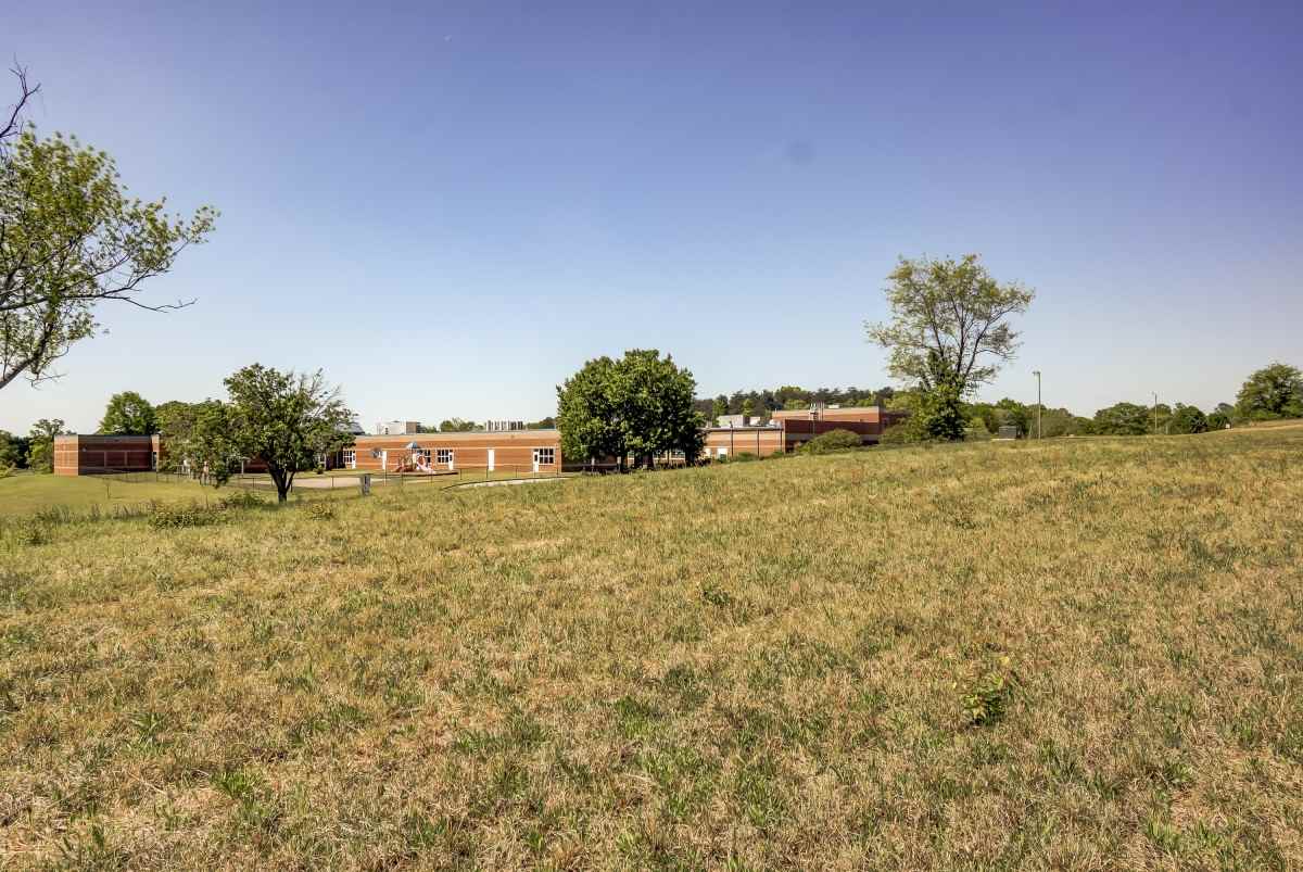 0 Skyland School Road Greer, SC 29651 - Photo 4 of 5