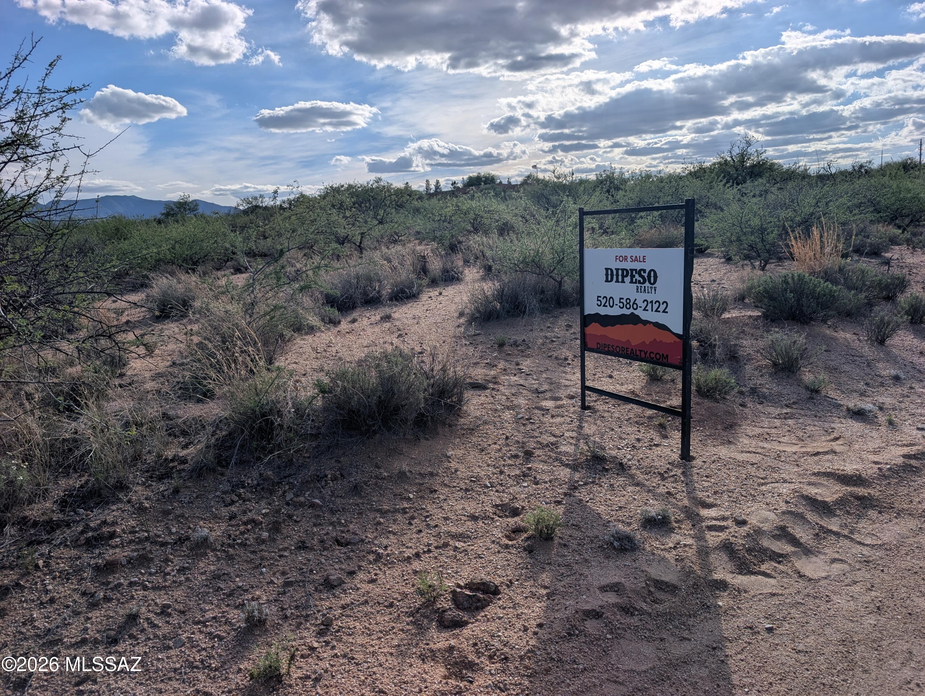 Tbd West Branch Road Benson, AZ 85602 - Photo 2 of 5
