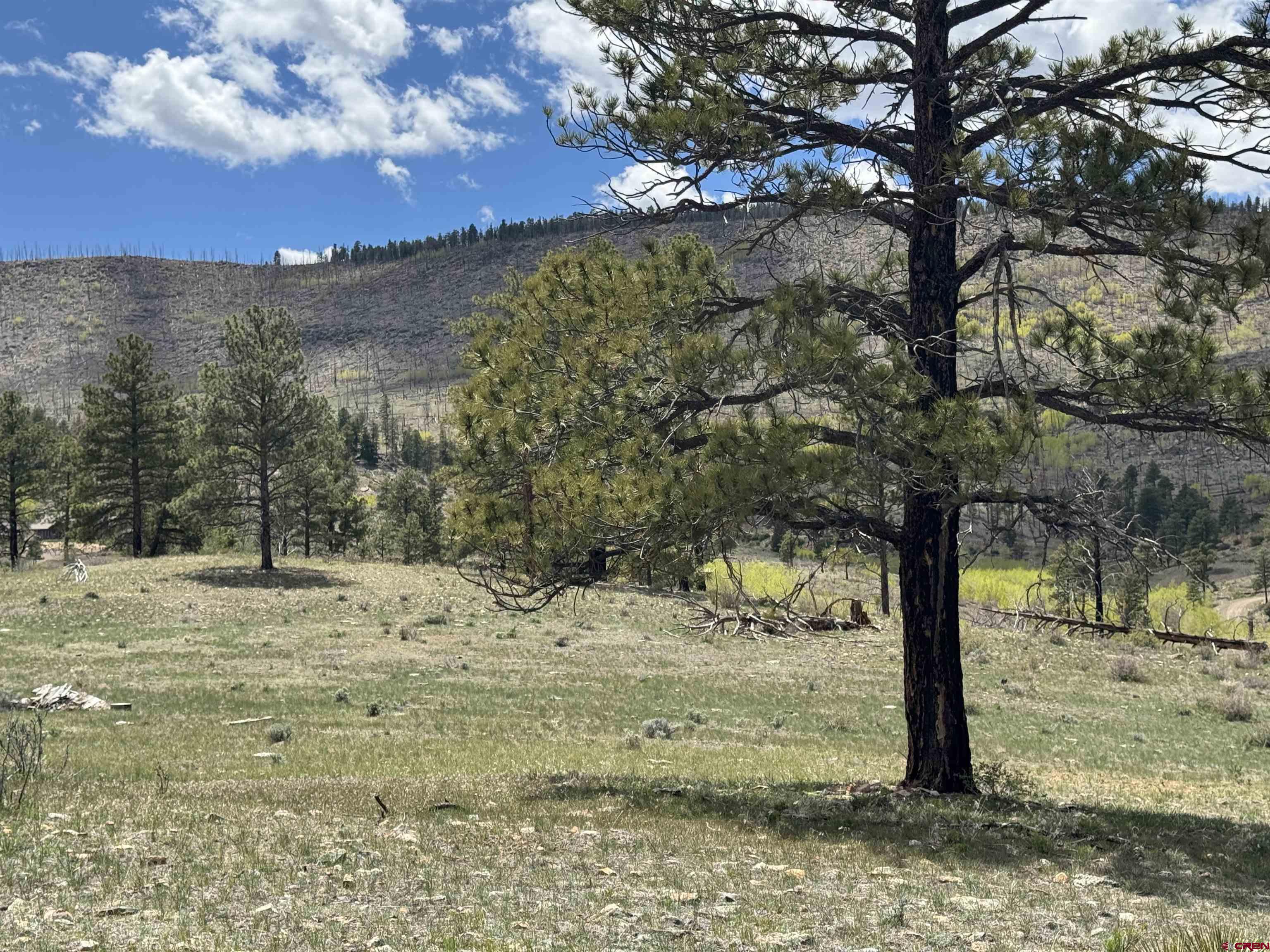 150 Rickel Circle South Fork, CO 81154 - Photo 1 of 11