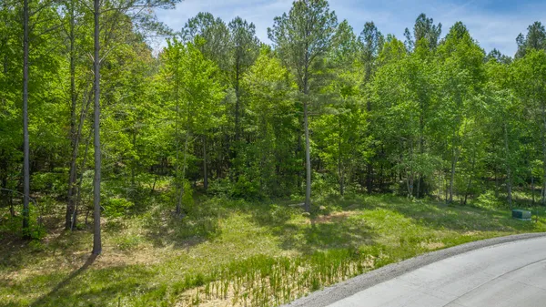 $175,000 | 0 Birds Eye Way, Unit LOT 1111, Guild, TN 37340