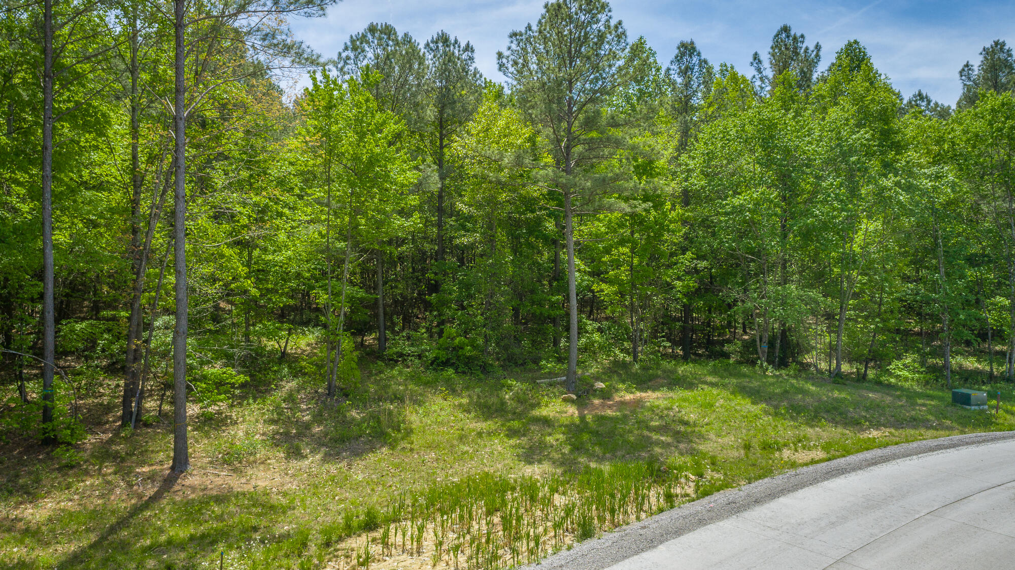 0 Birds Eye Way, Unit LOT 1111 Guild, TN 37340 - Photo 1 of 86 0 Birds Eye View - Lot 1111 HD-3