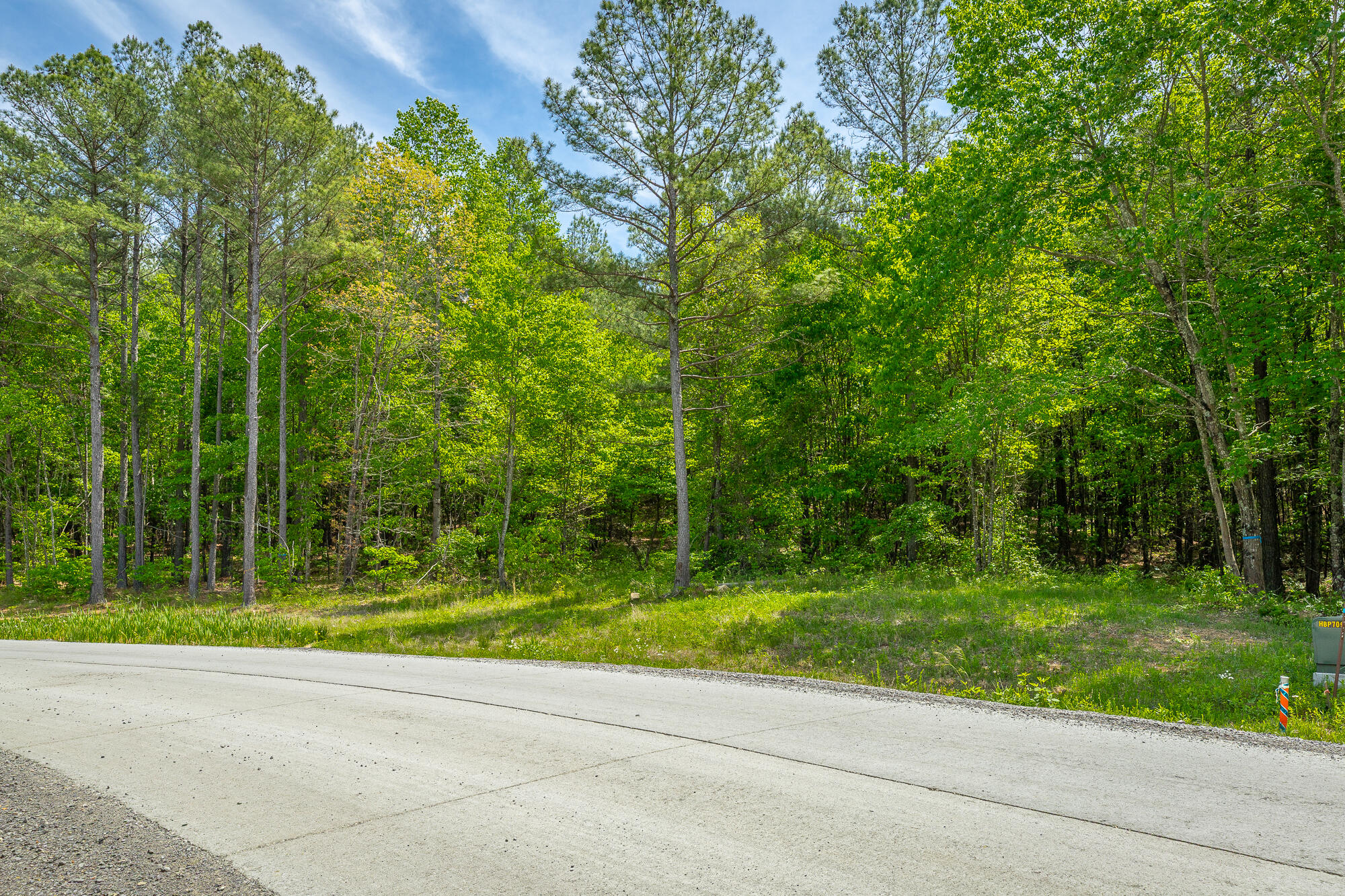 0 Birds Eye Way, Unit LOT 1111 Guild, TN 37340 - Photo 12 of 86 0 Birds Eye View - Lot 1111 HD-80