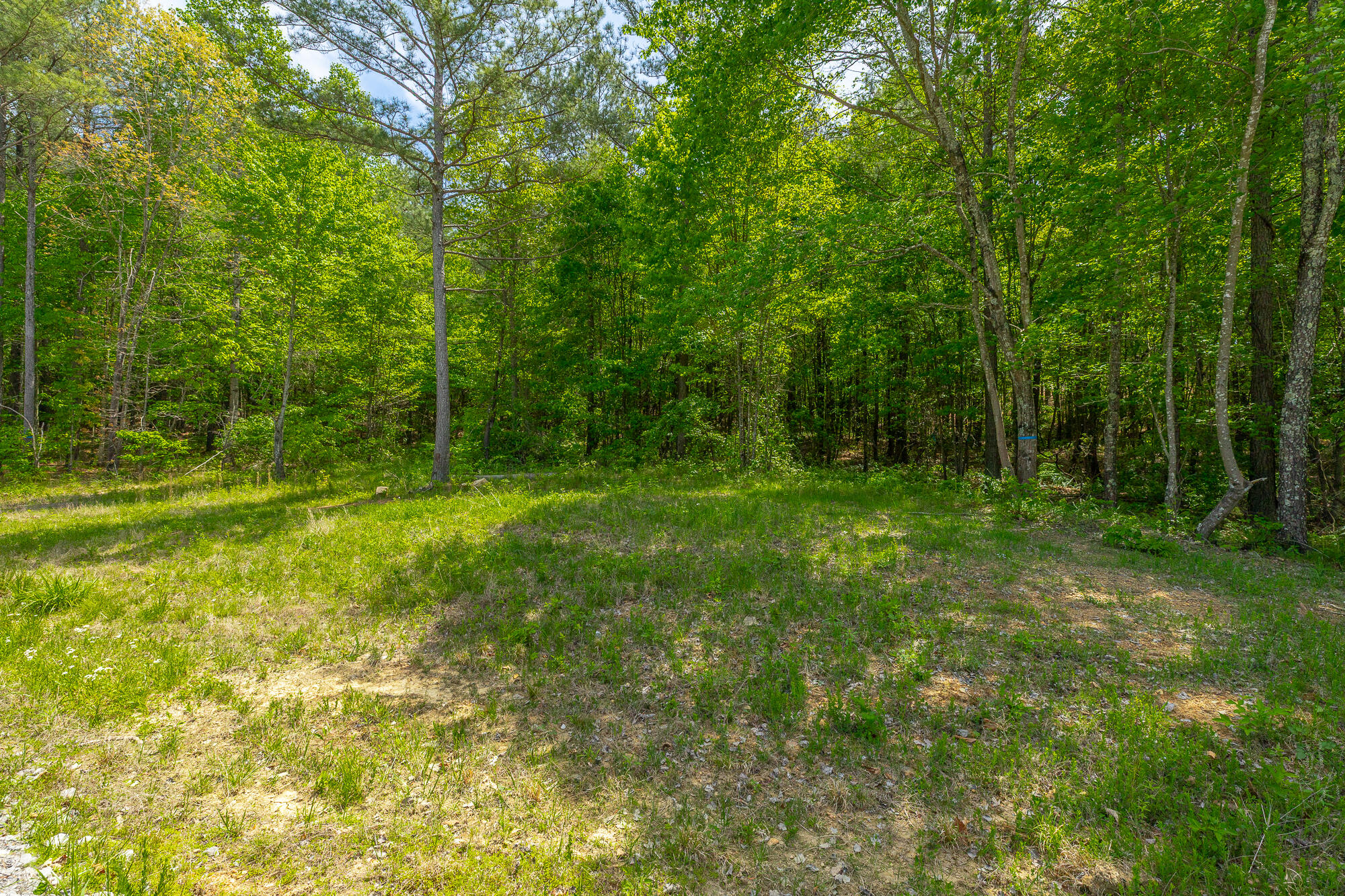 0 Birds Eye Way, Unit LOT 1111 Guild, TN 37340 - Photo 13 of 86 0 Birds Eye View - Lot 1111 HD-82