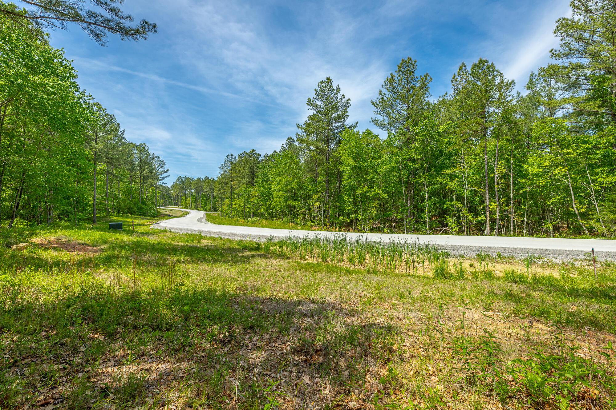 0 Birds Eye Way, Unit LOT 1111 Guild, TN 37340 - Photo 17 of 86 0 Birds Eye View - Lot 1111 HD-86