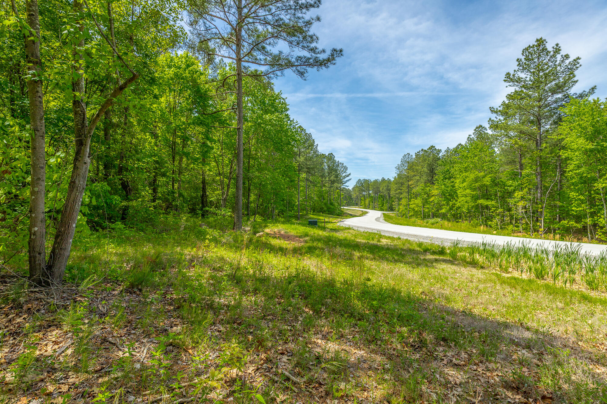 0 Birds Eye Way, Unit LOT 1111 Guild, TN 37340 - Photo 18 of 86 0 Birds Eye View - Lot 1111 HD-87