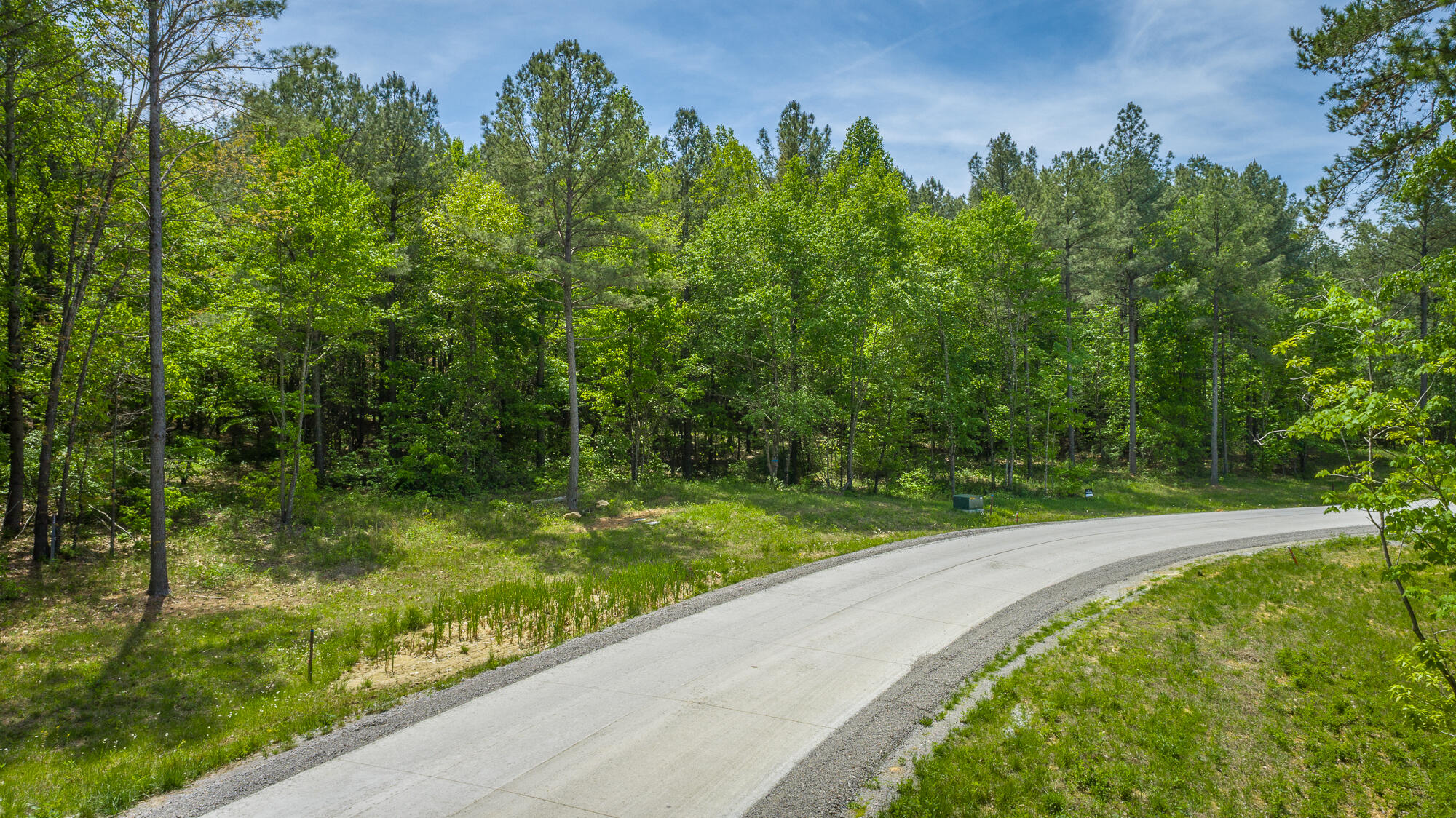 0 Birds Eye Way, Unit LOT 1111 Guild, TN 37340 - Photo 19 of 86 0 Birds Eye View - Lot 1111 HD-2