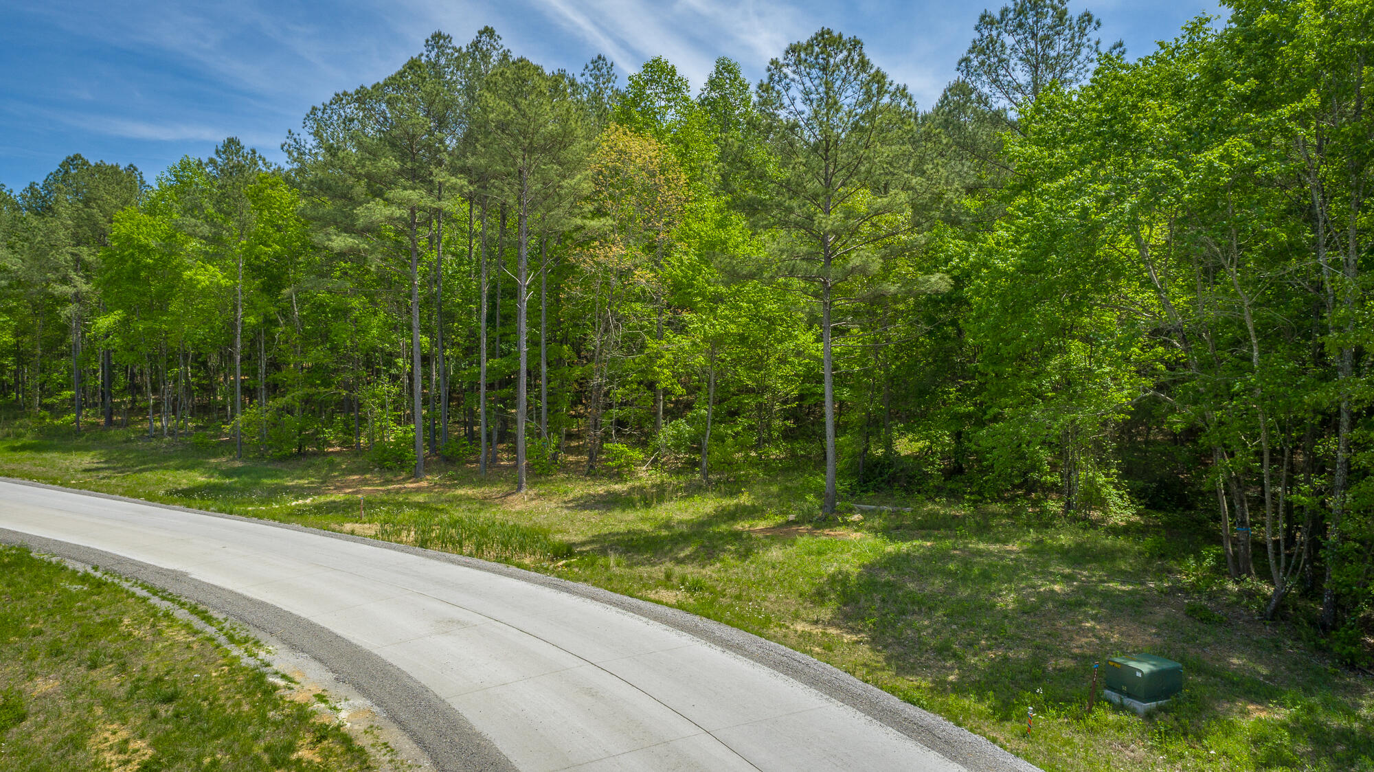 0 Birds Eye Way, Unit LOT 1111 Guild, TN 37340 - Photo 20 of 86 0 Birds Eye View - Lot 1111 HD-4
