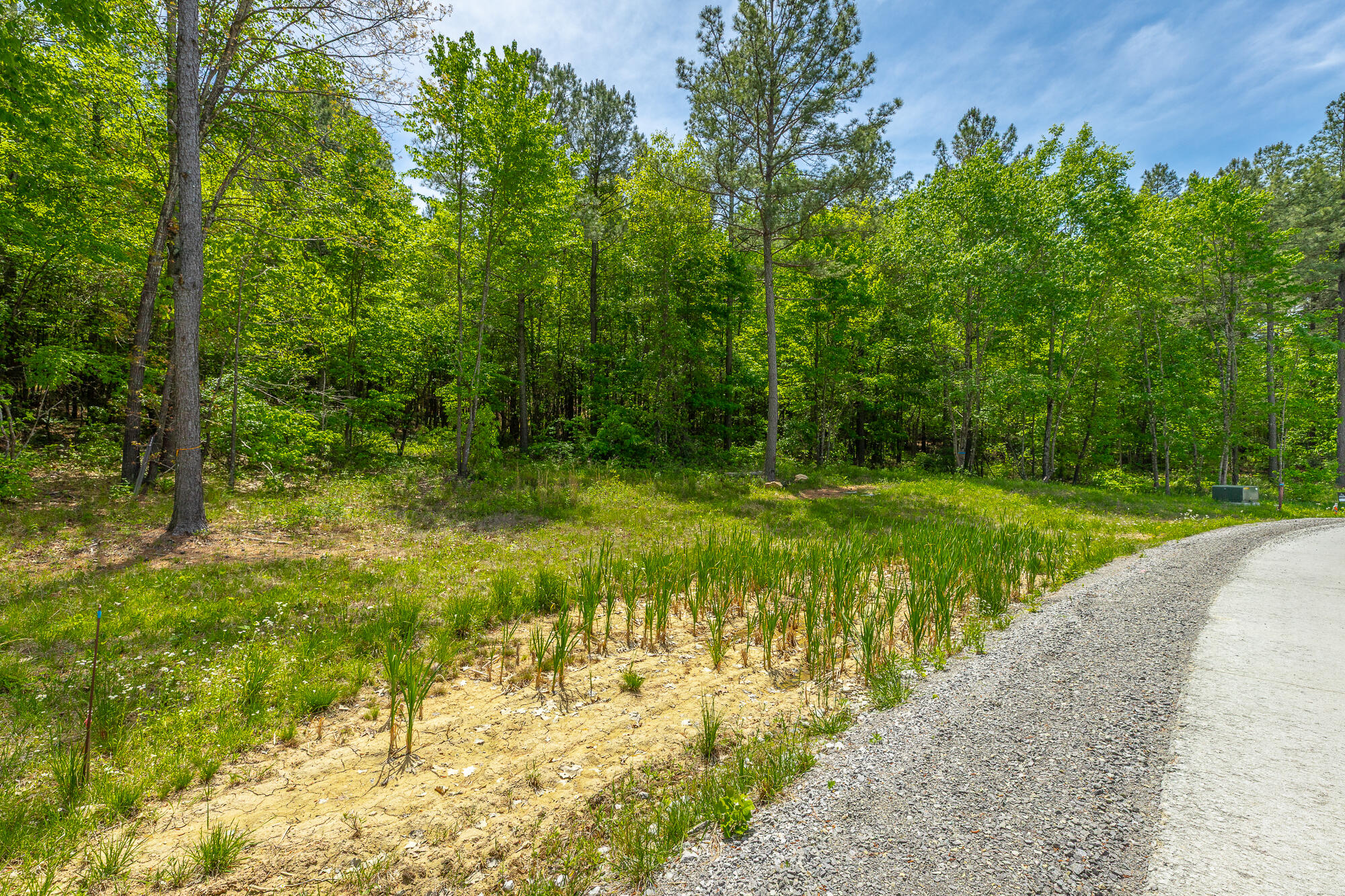 0 Birds Eye Way, Unit LOT 1111 Guild, TN 37340 - Photo 2 of 86 0 Birds Eye View - Lot 1111 HD-78