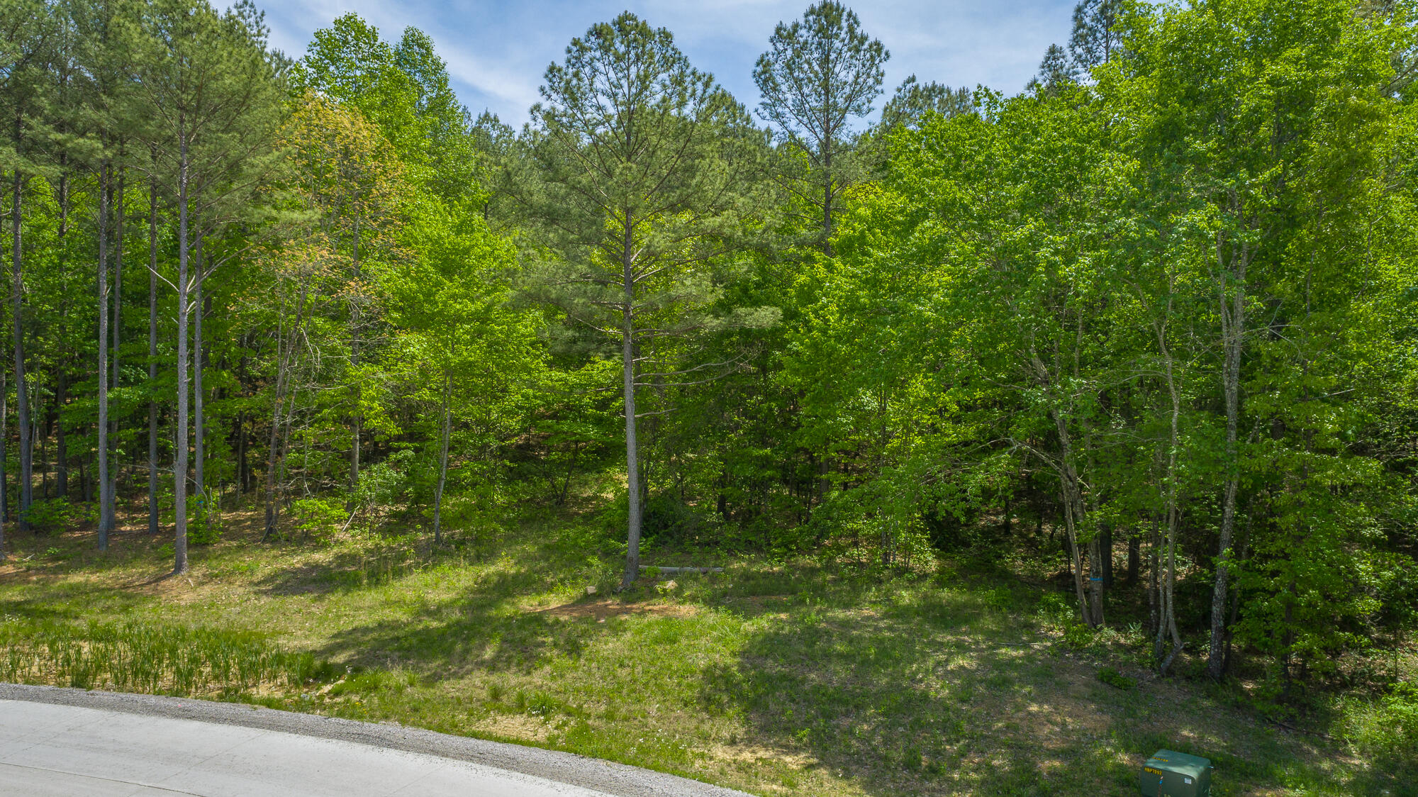 0 Birds Eye Way, Unit LOT 1111 Guild, TN 37340 - Photo 21 of 86 0 Birds Eye View - Lot 1111 HD-5