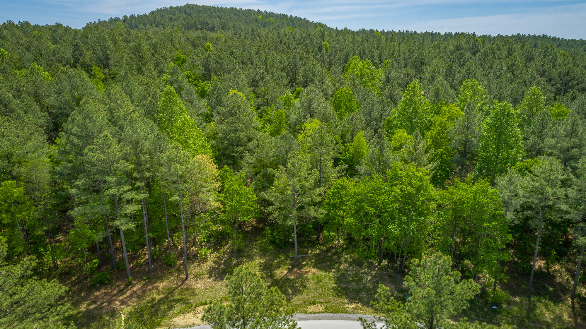 0 Birds Eye Way, Unit LOT 1111 Guild, TN 37340 - Photo 22 of 86 0 Birds Eye View - Lot 1111 HD-6