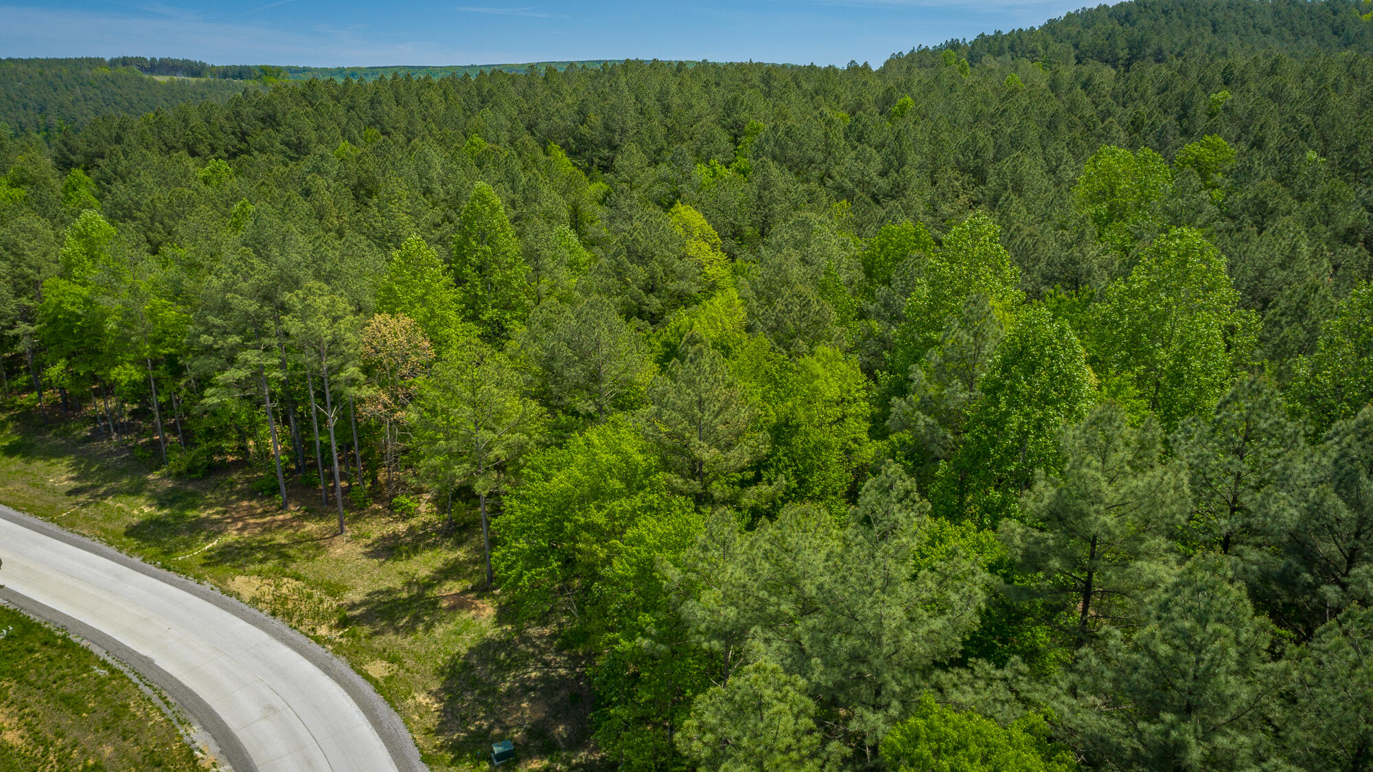 0 Birds Eye Way, Unit LOT 1111 Guild, TN 37340 - Photo 23 of 86 0 Birds Eye View - Lot 1111 HD-8