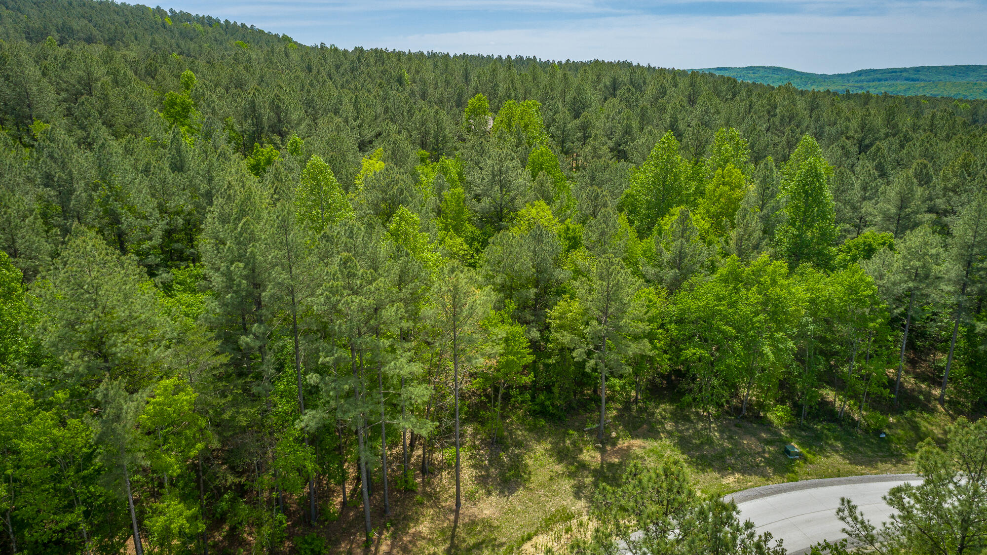0 Birds Eye Way, Unit LOT 1111 Guild, TN 37340 - Photo 24 of 86 0 Birds Eye View - Lot 1111 HD-9