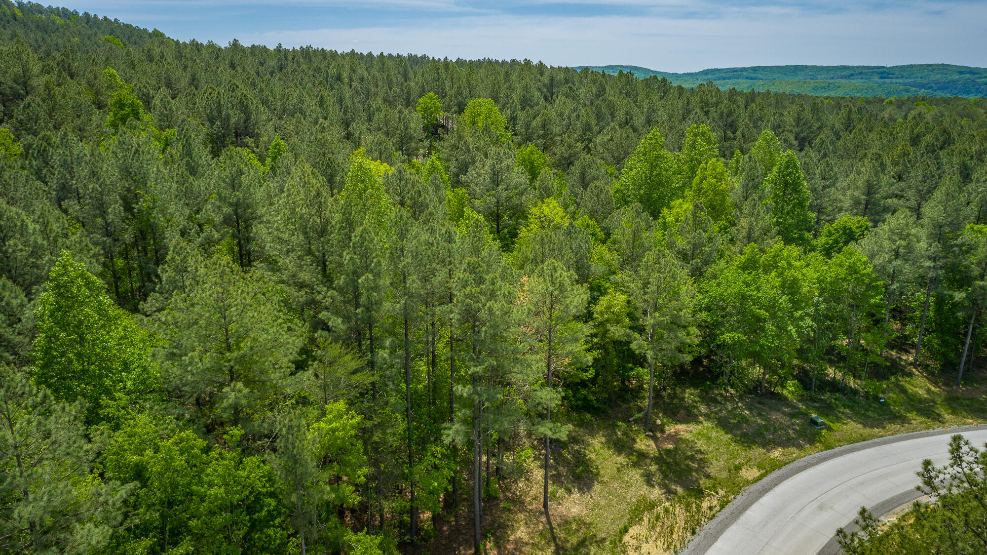 0 Birds Eye Way, Unit LOT 1111 Guild, TN 37340 - Photo 25 of 86 0 Birds Eye View - Lot 1111 HD-10