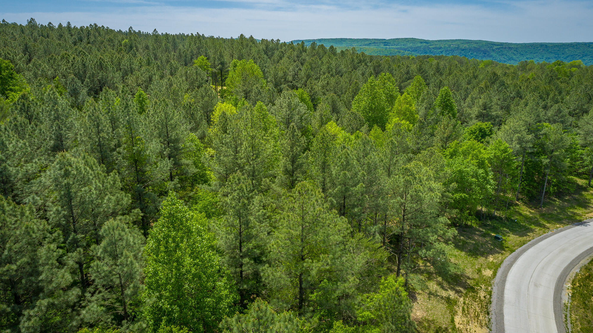 0 Birds Eye Way, Unit LOT 1111 Guild, TN 37340 - Photo 26 of 86 0 Birds Eye View - Lot 1111 HD-11