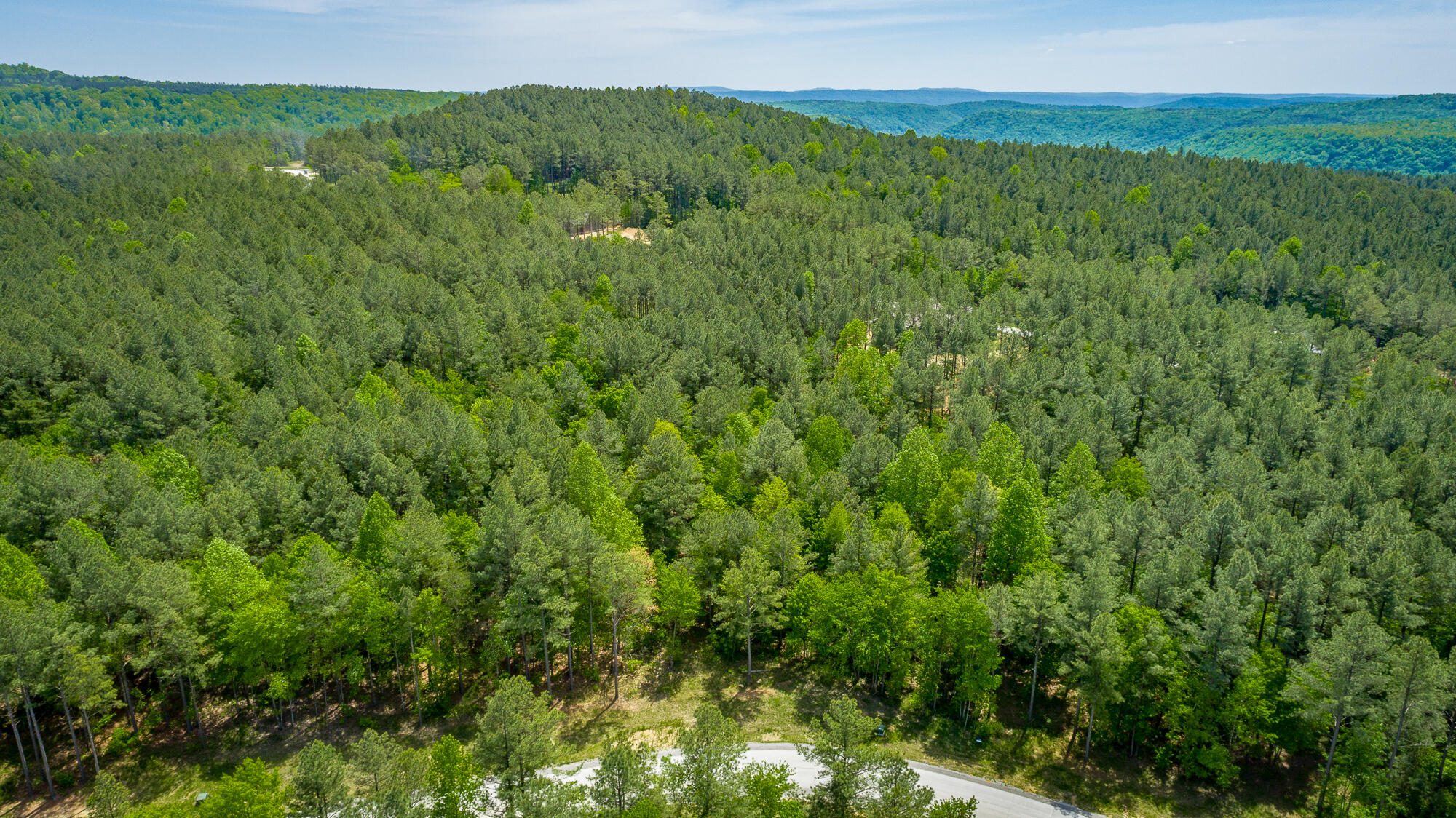 0 Birds Eye Way, Unit LOT 1111 Guild, TN 37340 - Photo 27 of 86 0 Birds Eye View - Lot 1111 HD-12