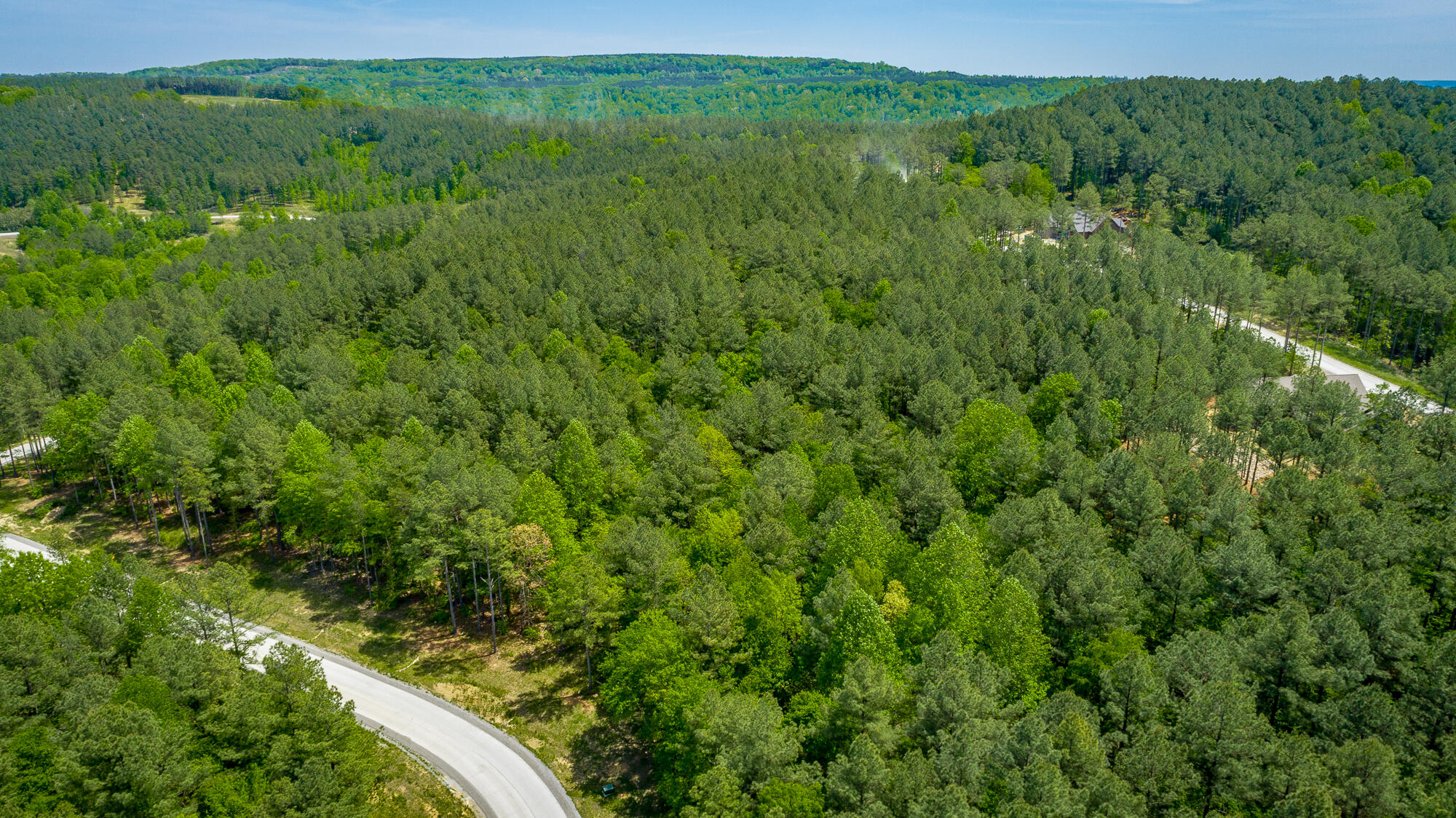 0 Birds Eye Way, Unit LOT 1111 Guild, TN 37340 - Photo 28 of 86 0 Birds Eye View - Lot 1111 HD-14
