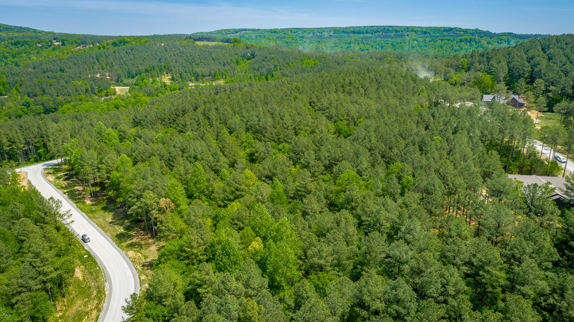 0 Birds Eye Way, Unit LOT 1111 Guild, TN 37340 - Photo 29 of 86 0 Birds Eye View - Lot 1111 HD-15