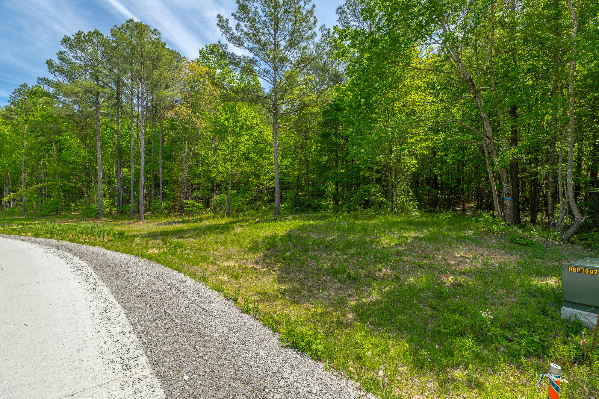 0 Birds Eye Way, Unit LOT 1111 Guild, TN 37340 - Photo 3 of 86 0 Birds Eye View - Lot 1111 HD-81