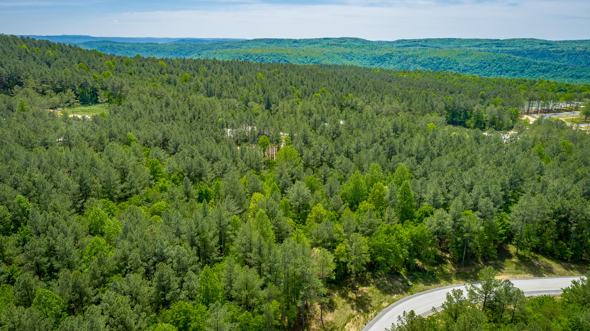 0 Birds Eye Way, Unit LOT 1111 Guild, TN 37340 - Photo 31 of 86 0 Birds Eye View - Lot 1111 HD-22