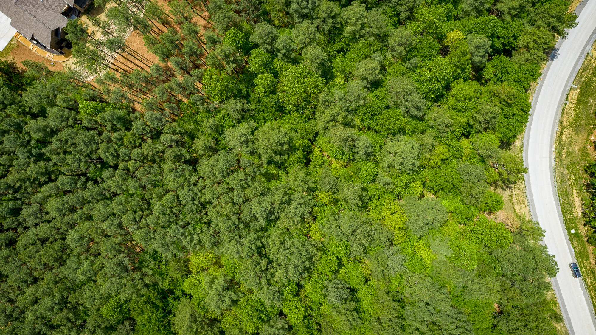 0 Birds Eye Way, Unit LOT 1111 Guild, TN 37340 - Photo 38 of 86 0 Birds Eye View - Lot 1111 HD-42
