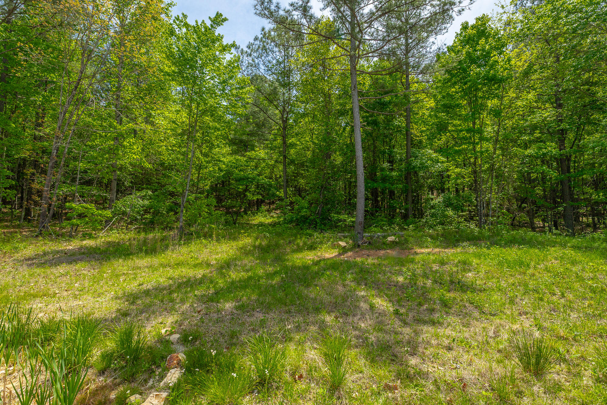 0 Birds Eye Way, Unit LOT 1111 Guild, TN 37340 - Photo 4 of 86 0 Birds Eye View - Lot 1111 HD-75