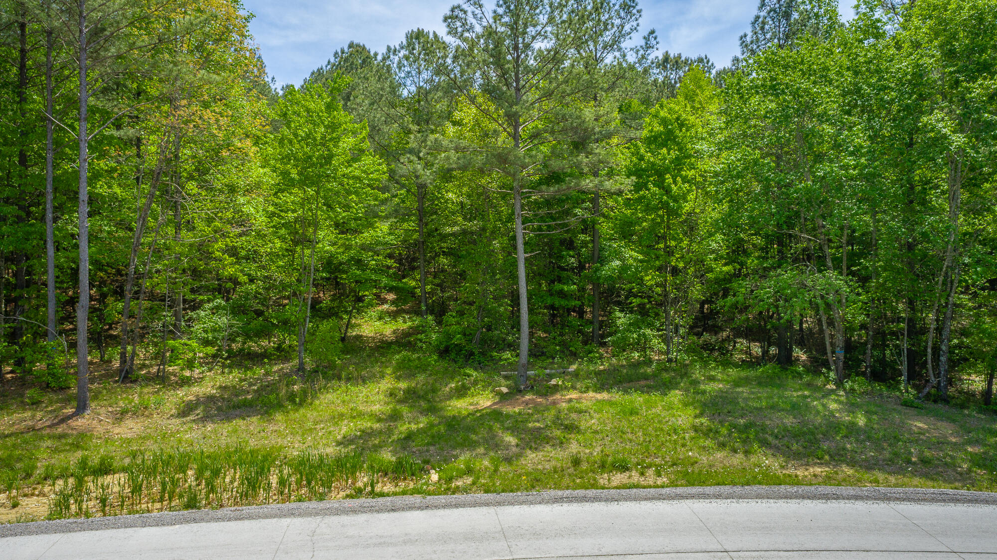 0 Birds Eye Way, Unit LOT 1111 Guild, TN 37340 - Photo 5 of 86 0 Birds Eye View - Lot 1111 HD-1