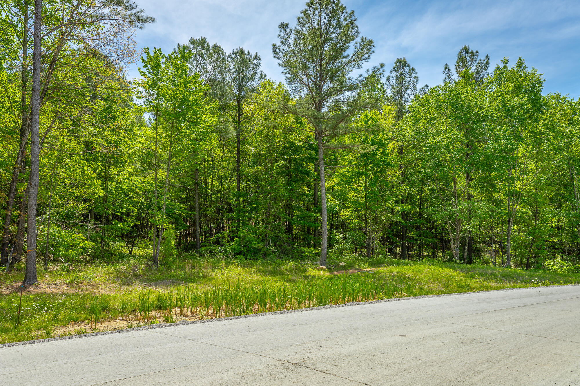 0 Birds Eye Way, Unit LOT 1111 Guild, TN 37340 - Photo 6 of 86 0 Birds Eye View - Lot 1111 HD-77