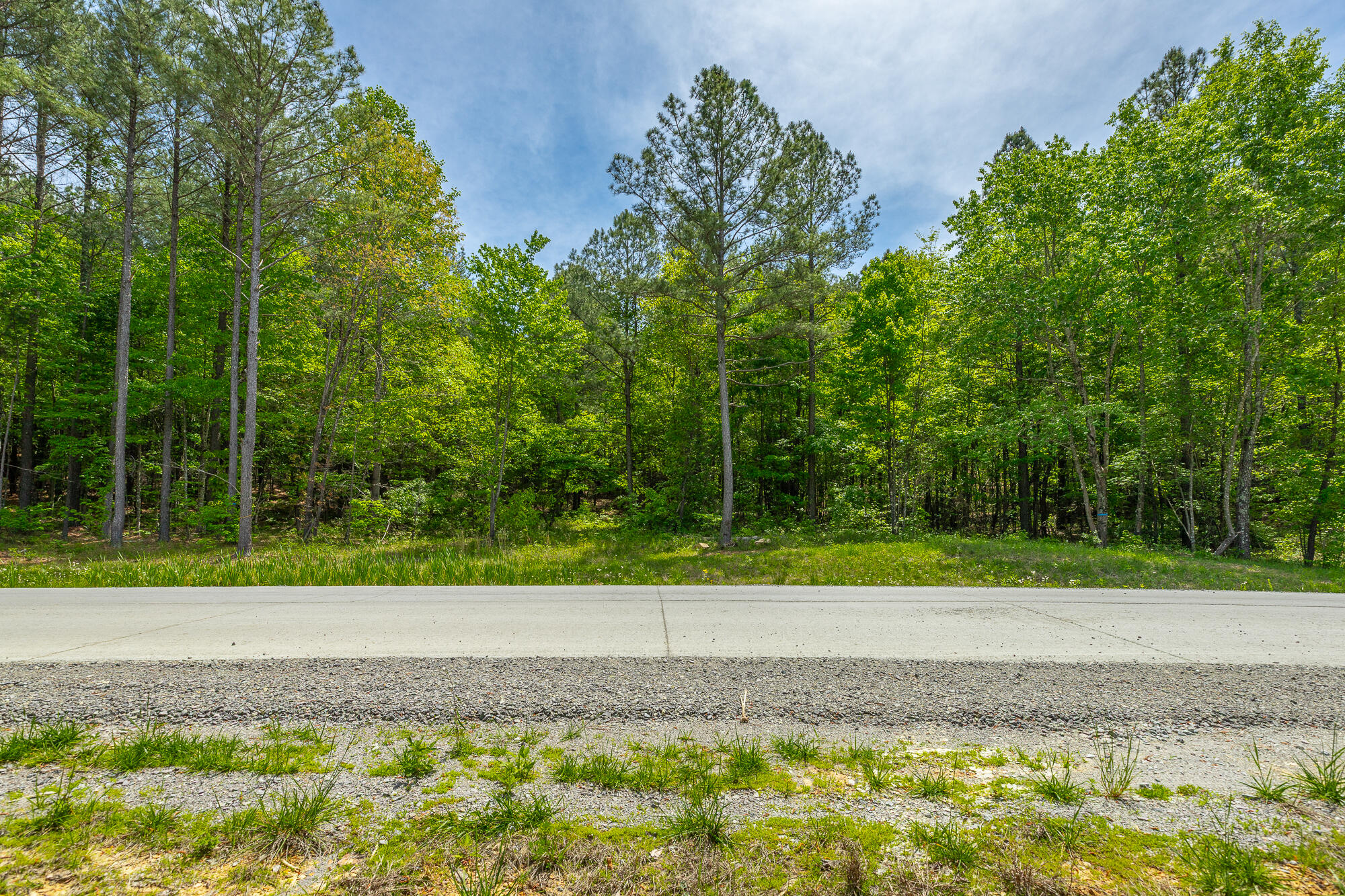 0 Birds Eye Way, Unit LOT 1111 Guild, TN 37340 - Photo 7 of 86 0 Birds Eye View - Lot 1111 HD-72