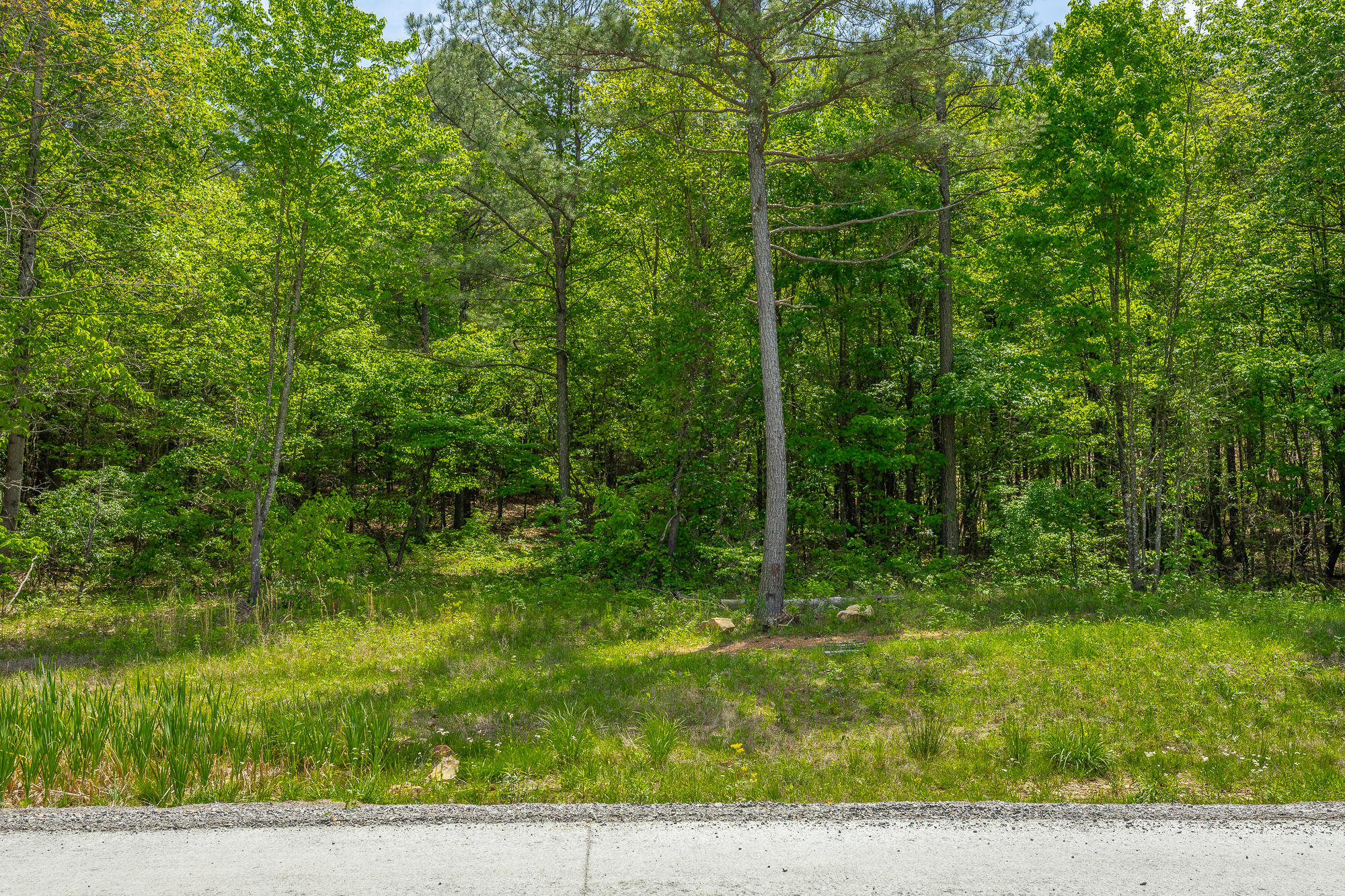 0 Birds Eye Way, Unit LOT 1111 Guild, TN 37340 - Photo 8 of 86 0 Birds Eye View - Lot 1111 HD-73