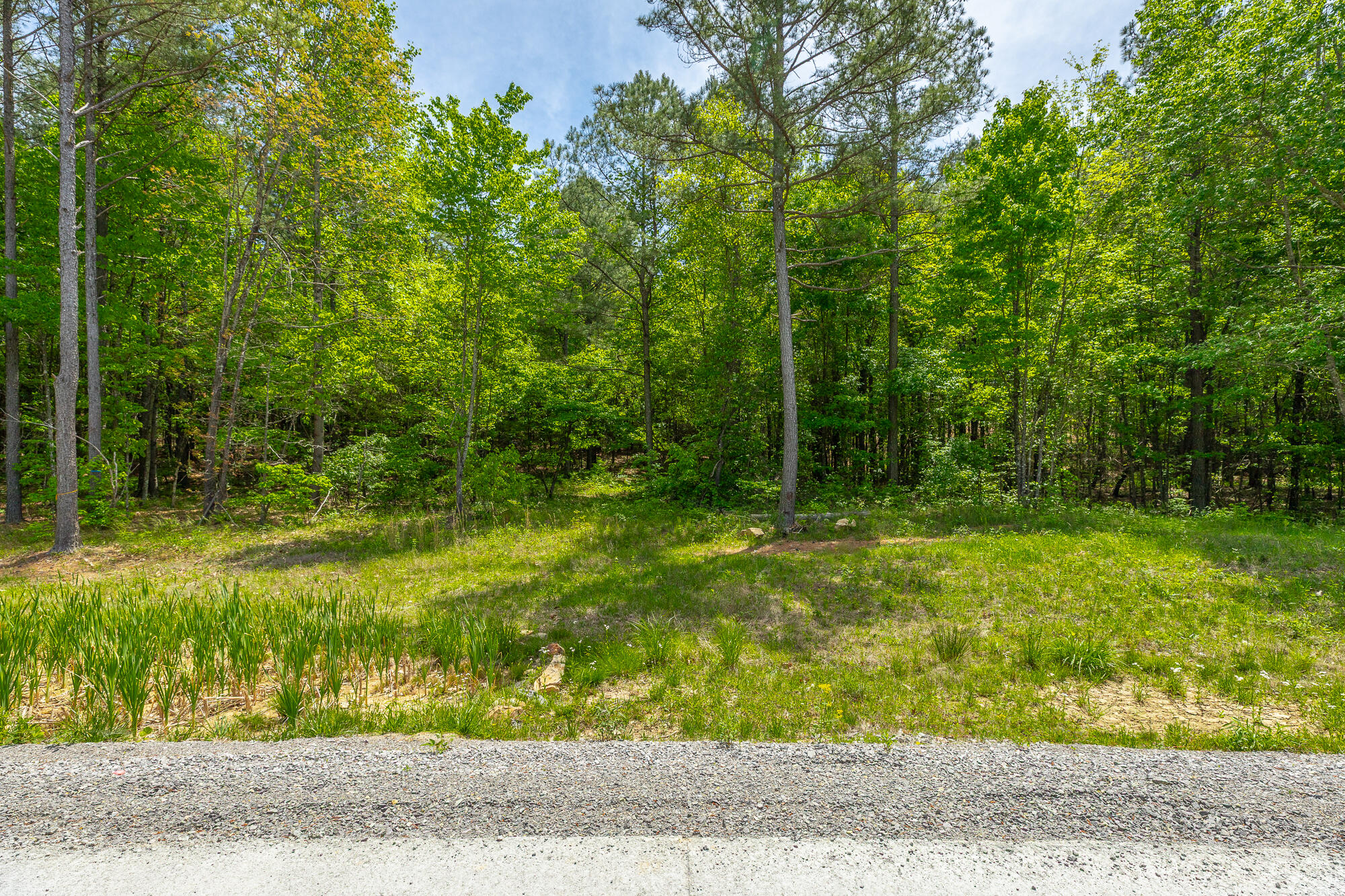 0 Birds Eye Way, Unit LOT 1111 Guild, TN 37340 - Photo 9 of 86 0 Birds Eye View - Lot 1111 HD-74
