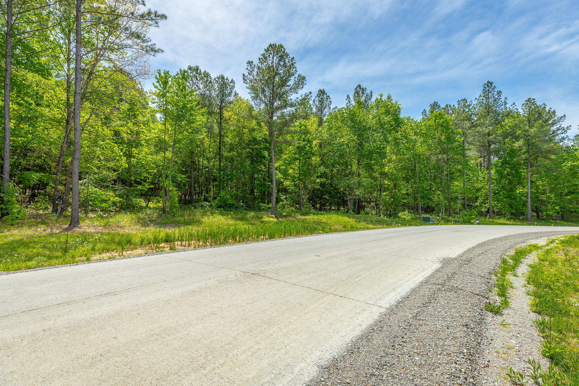 0 Birds Eye Way, Unit LOT 1111 Guild, TN 37340 - Photo 10 of 86 0 Birds Eye View - Lot 1111 HD-76