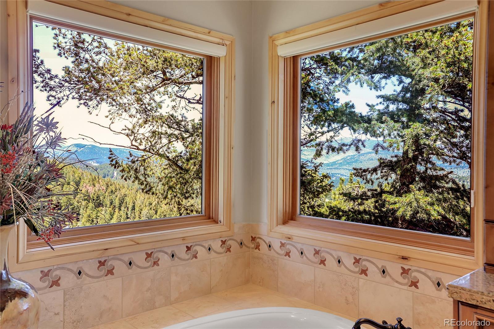 1007 Nob Hill Road Evergreen, CO 80439 - Photo 25 of 48 a view of a garden from a window