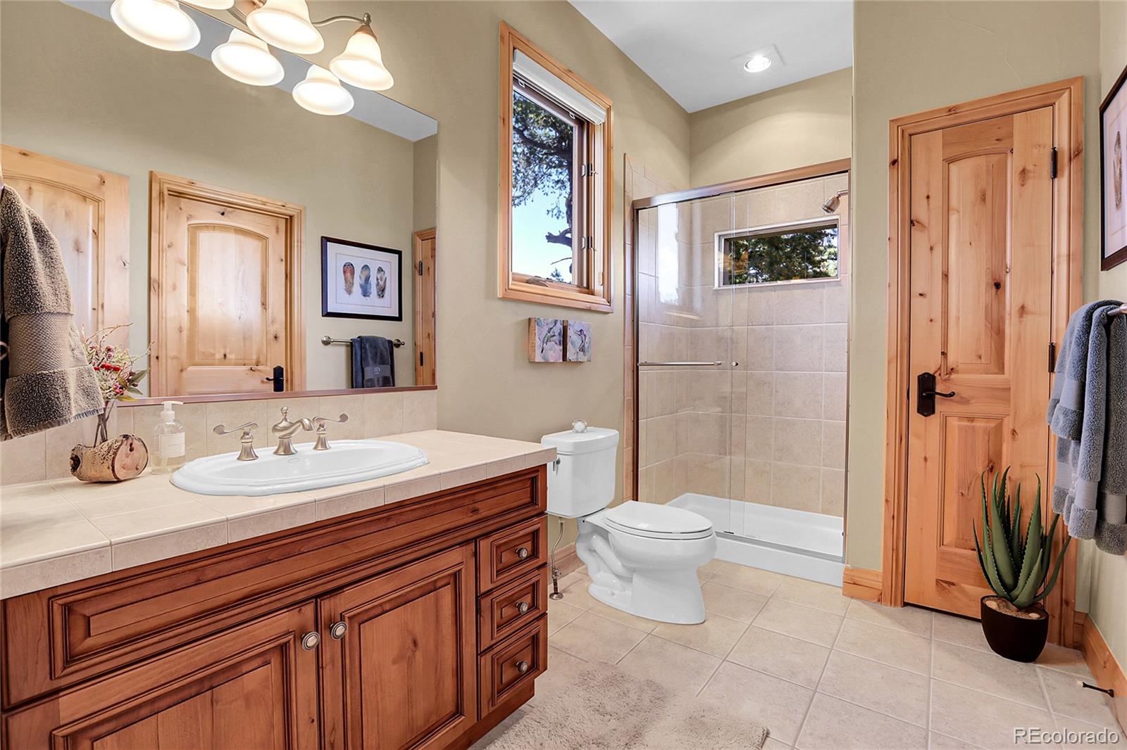 1007 Nob Hill Road Evergreen, CO 80439 - Photo 39 of 48 a bathroom with a sink a toilet and shower