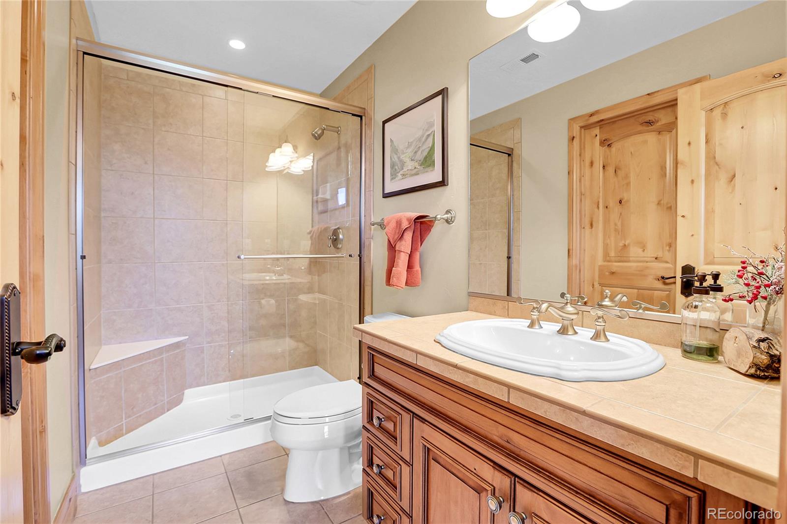 1007 Nob Hill Road Evergreen, CO 80439 - Photo 41 of 48 a bathroom with a sink a toilet and shower