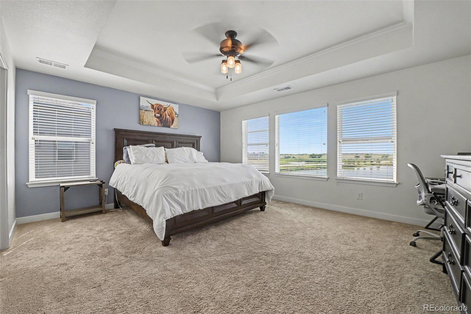 7139 Stratus Road Timnath, CO 80547 - Photo 7 of 17