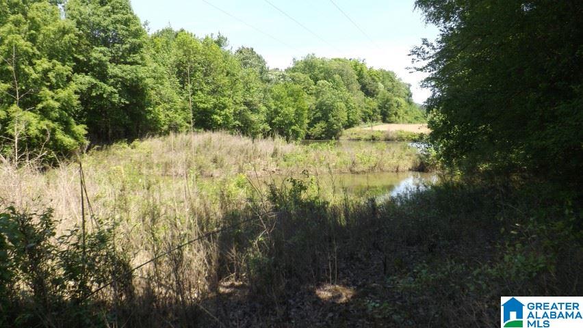 0 Pea Ridge Circle, Unit 424 Union Grove, AL 35175 - Photo 28 of 49