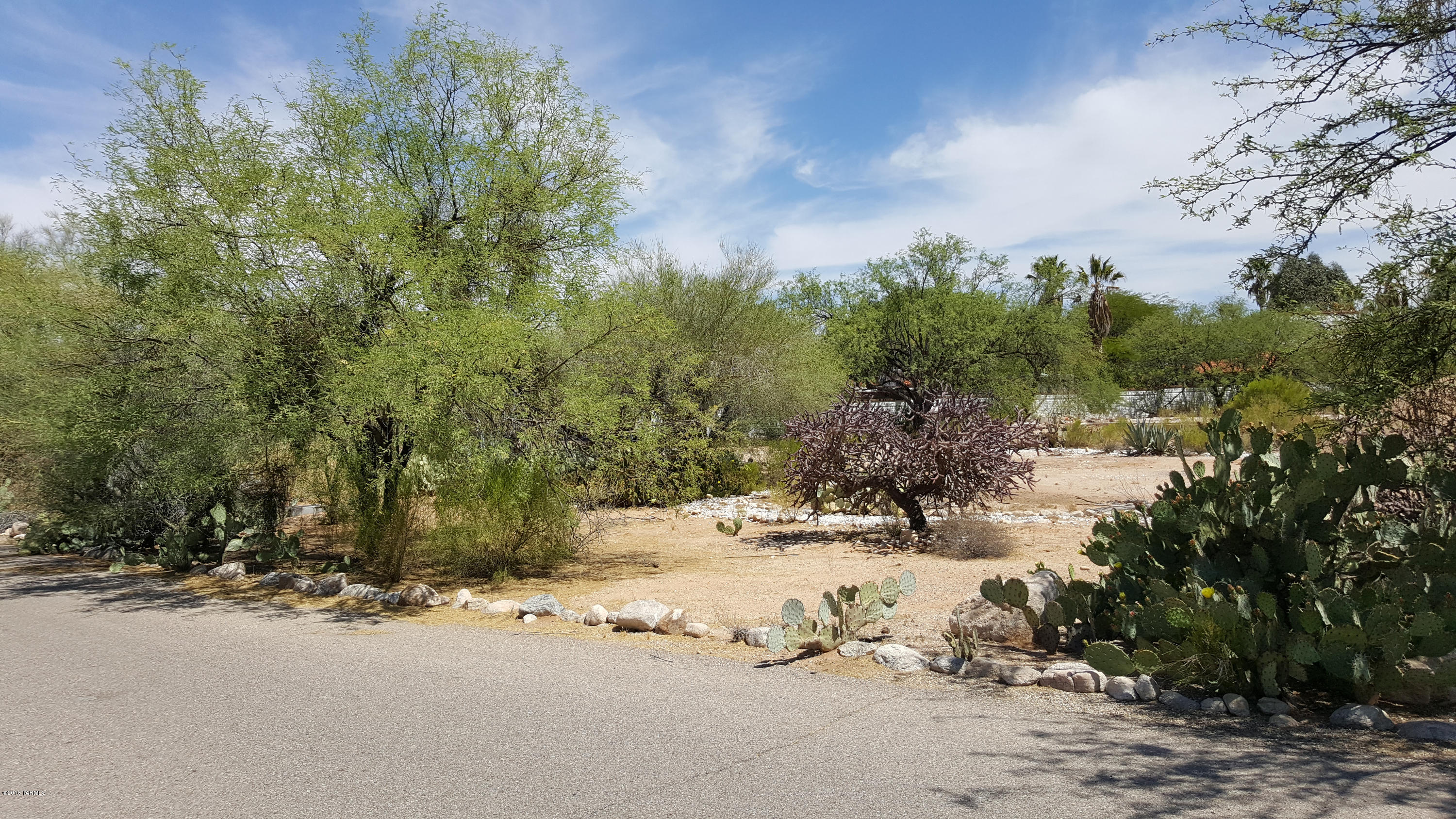 6655 North Oracle Road, Unit 11 Tucson, AZ 85704 - Photo 1 of 6 Gallery Image 1