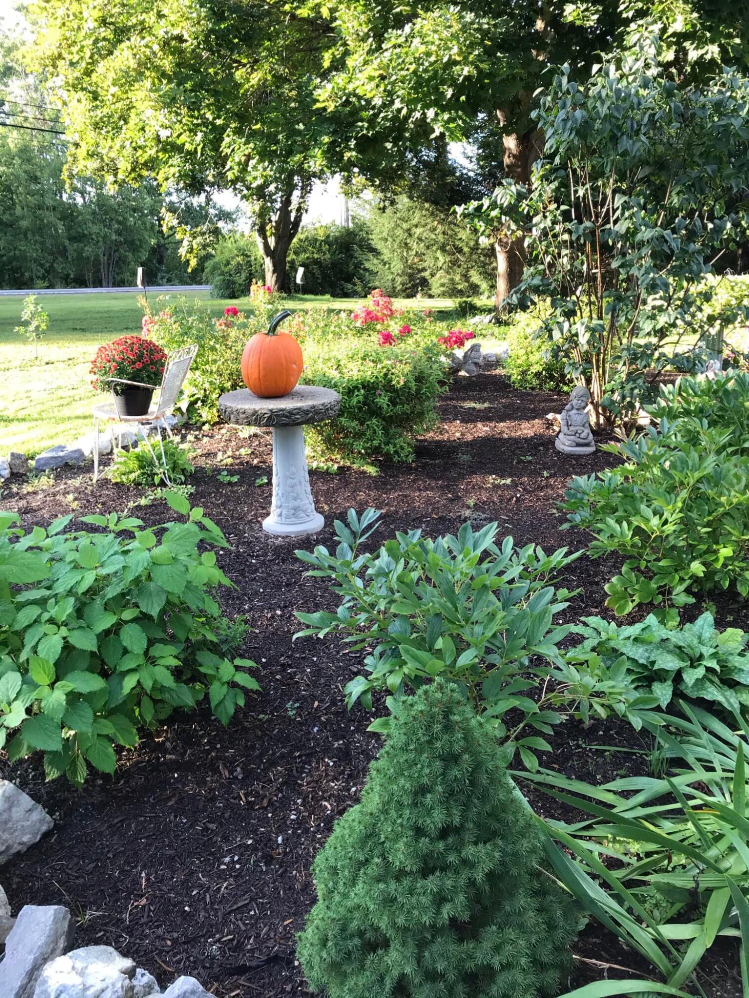 1419 River Road Bowdoinham, ME 04008 - Photo 62 of 72 garden 5