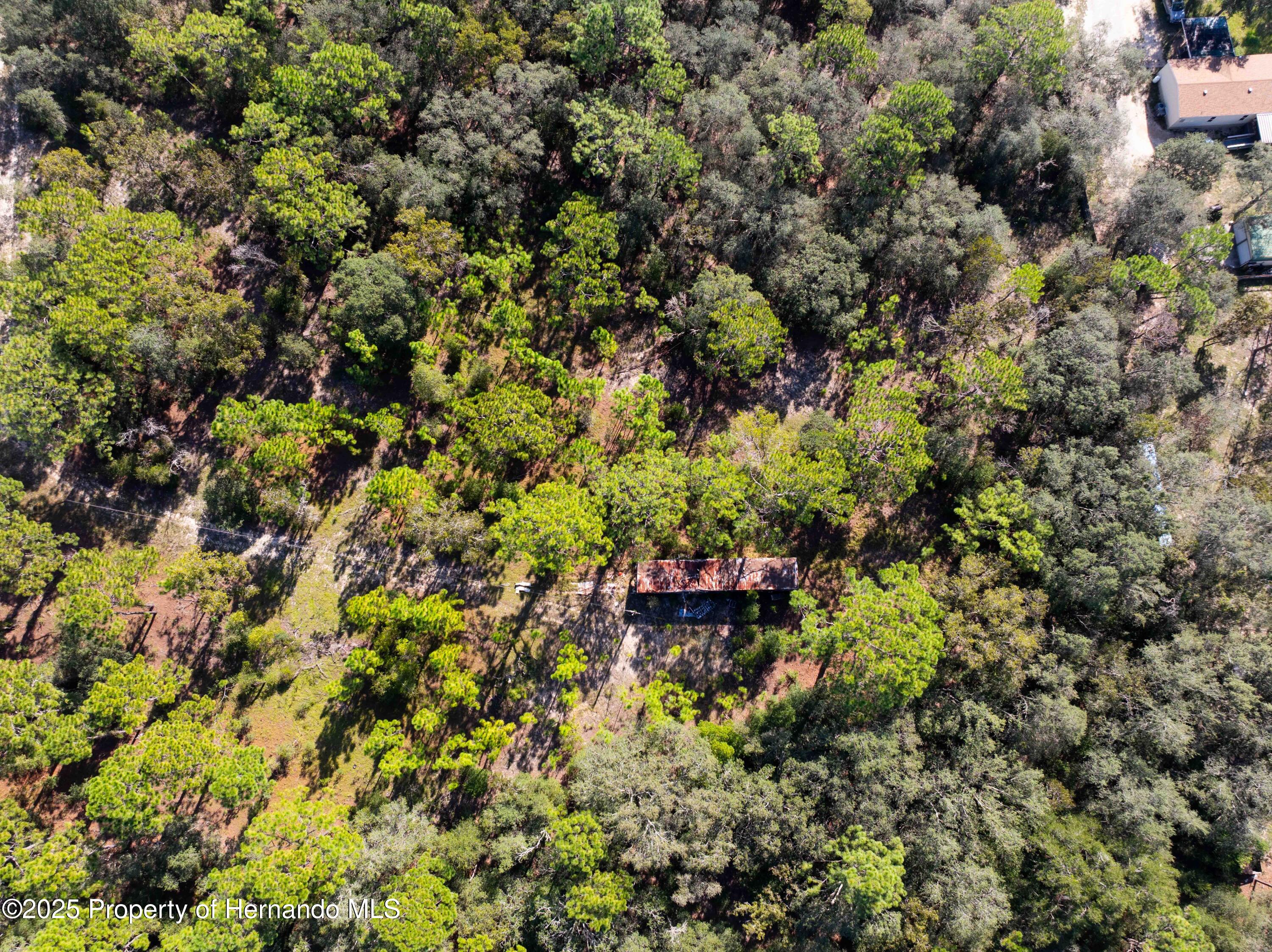 0 Cart Path Brooksville, FL 34602 - Photo 7 of 12