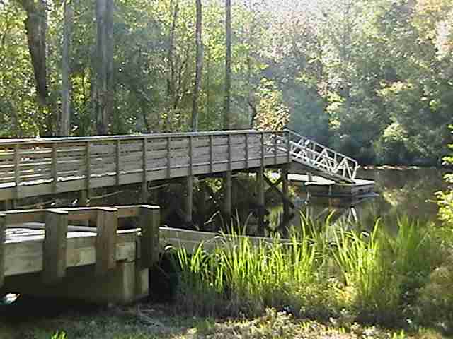 Lot 210 Sprig Lane Murrells Inlet, SC 29576 - Photo 3 of 6 Gallery Image 3