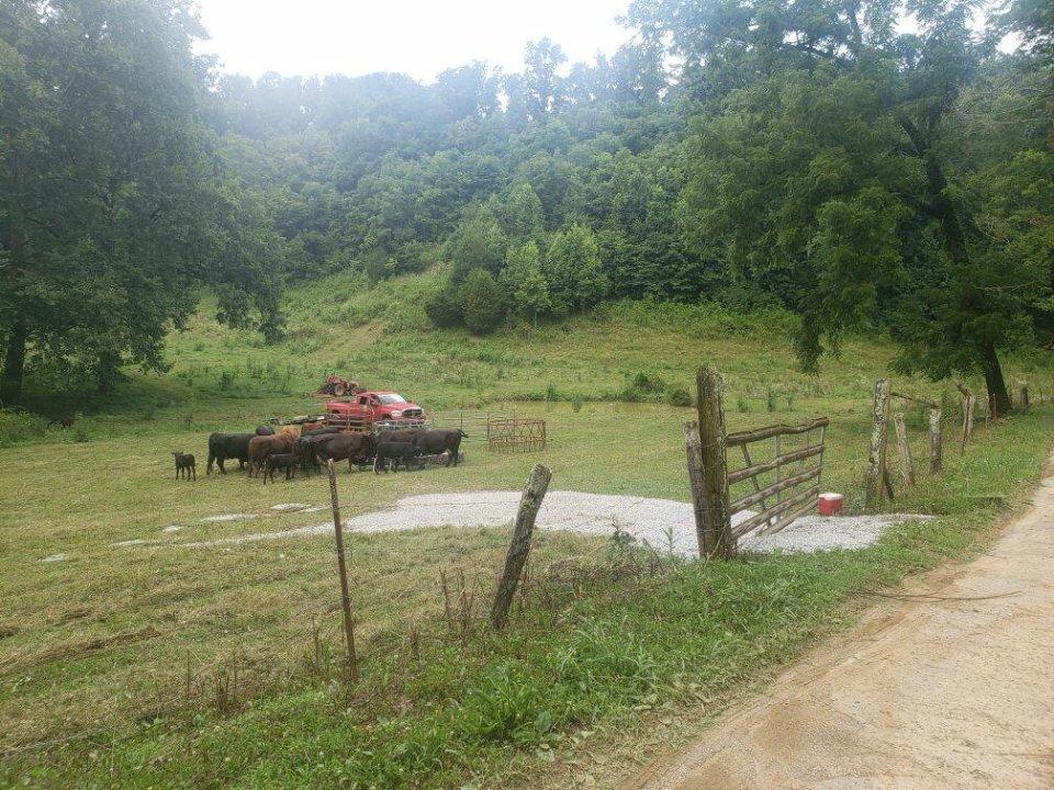 Country Farm Lane Rutledge, TN 37861 - Photo 3 of 4 imagejpeg_1