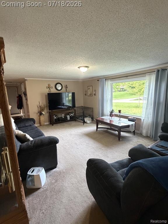 4070 Blood Road Metamora, MI 48455 - Photo 12 of 27