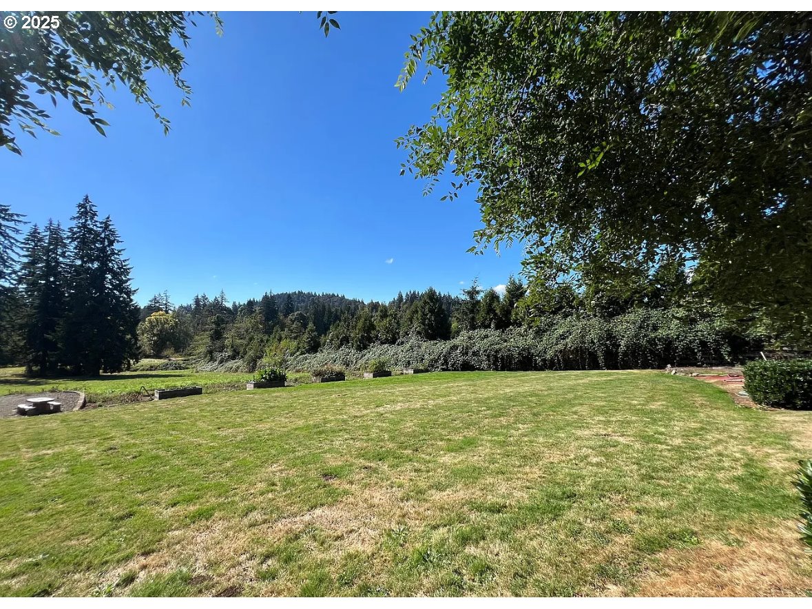 8031 Southeast Orient Drive Gresham, OR 97080 - Photo 10 of 17 a view of a field with an trees