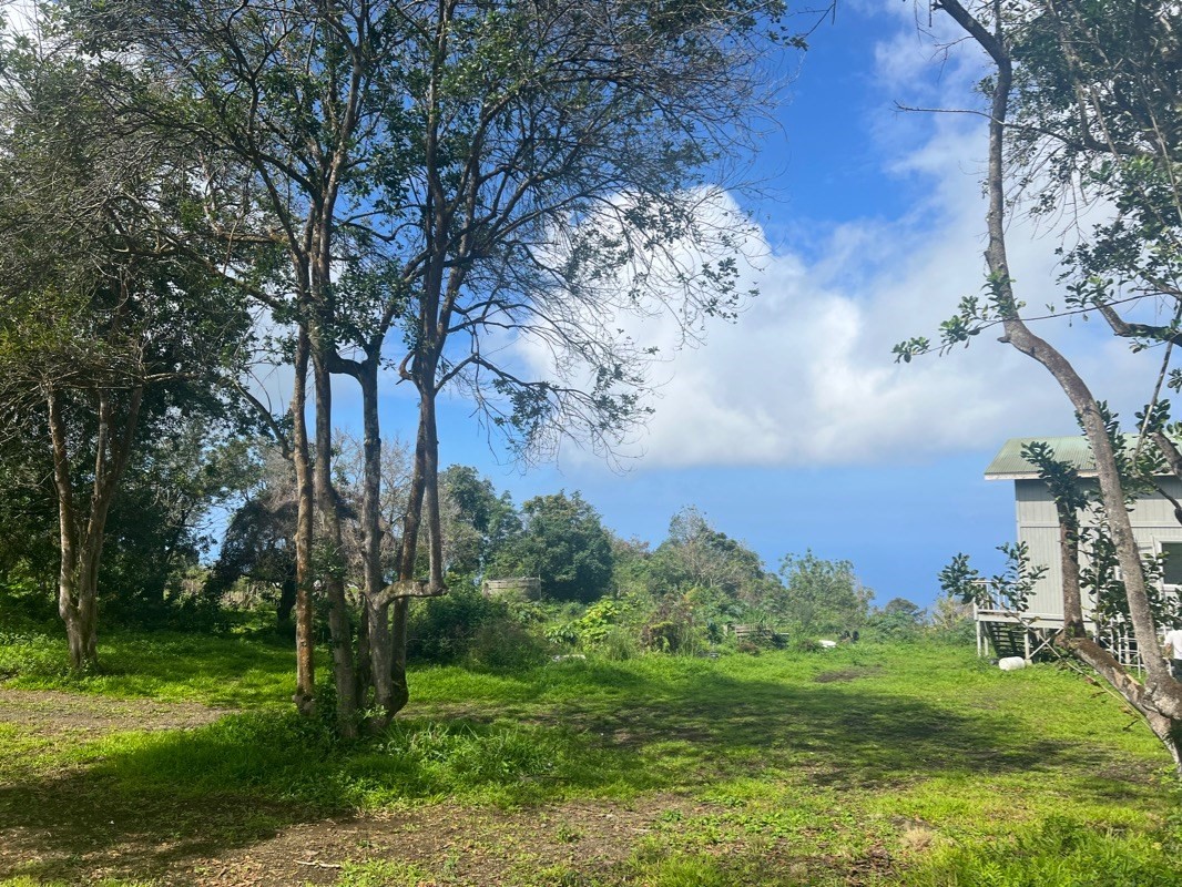 81-1084 Lot F-32 Captain Cook Road Captain Cook, HI 96704 - Photo 1 of 15 a view of a garden with a building in the background